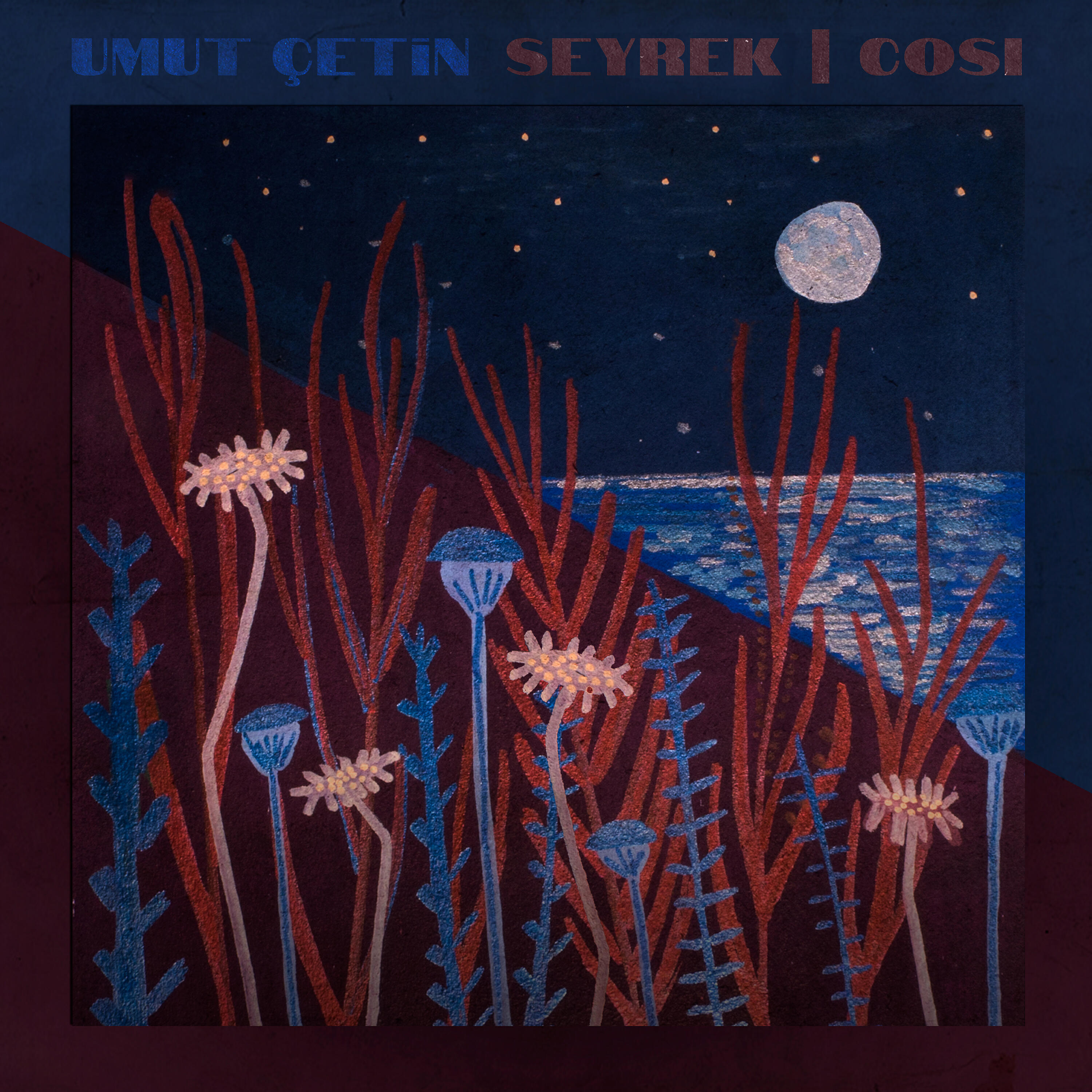 Релиз Seyrek / Cosi