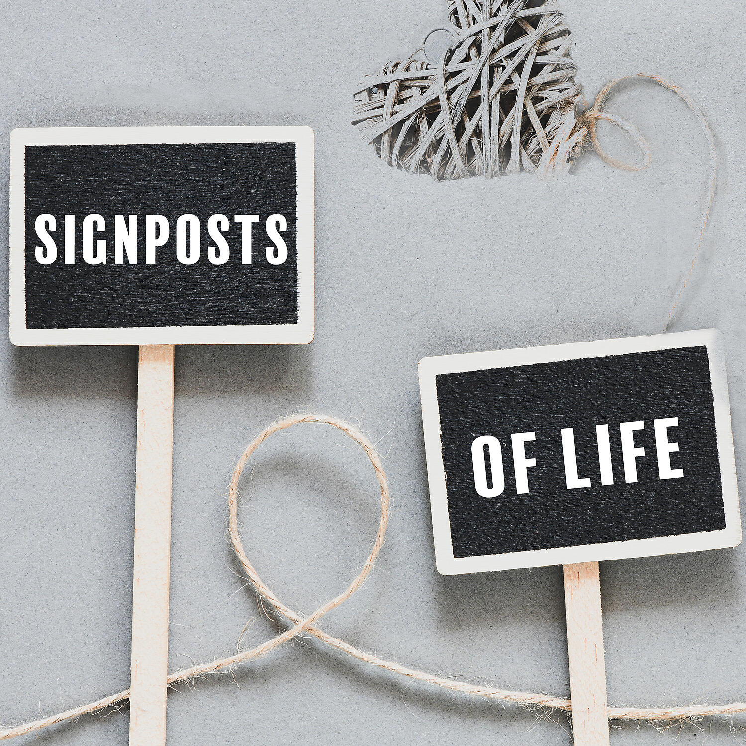 Релиз Signposts of Life