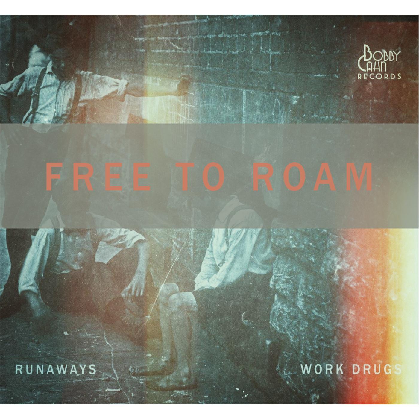 Релиз Free to Roam