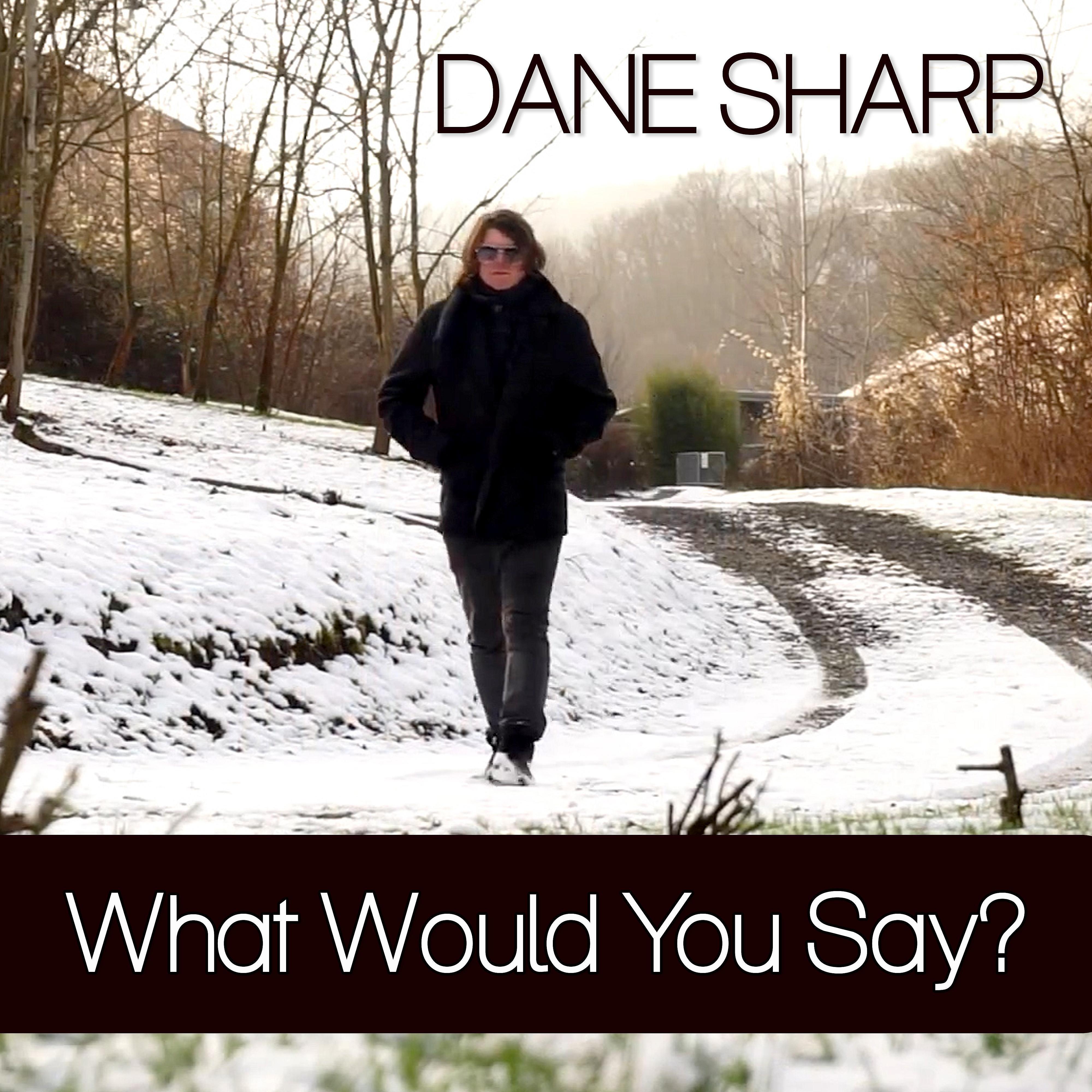 Релиз What Would You Say?
