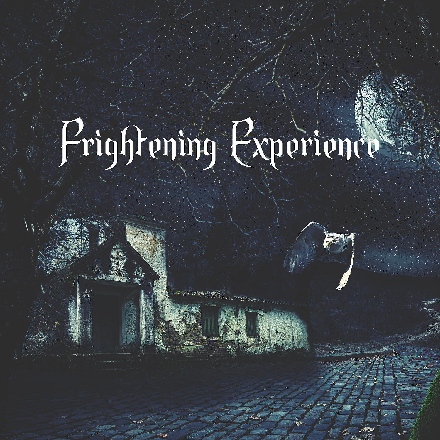Постер альбома Frightening Experience