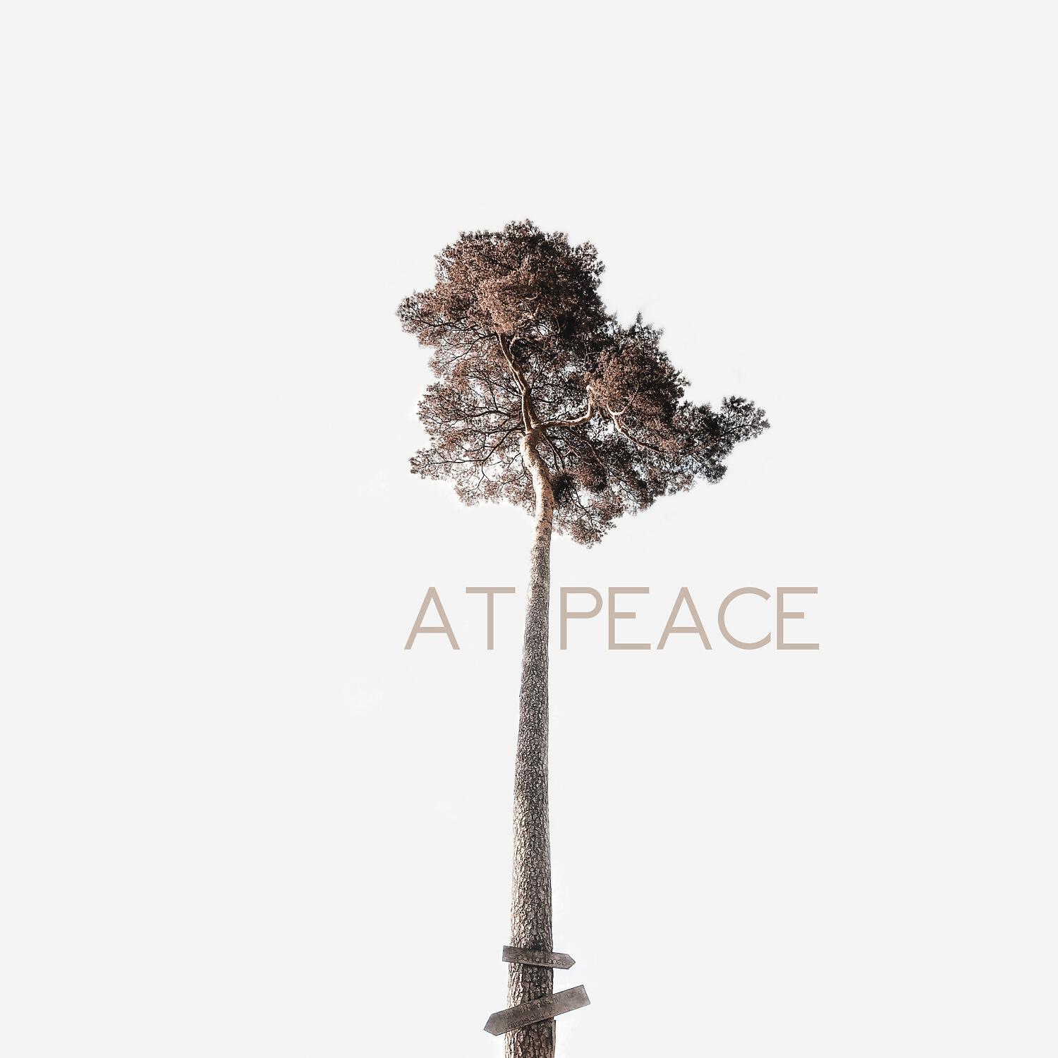 Релиз At Peace