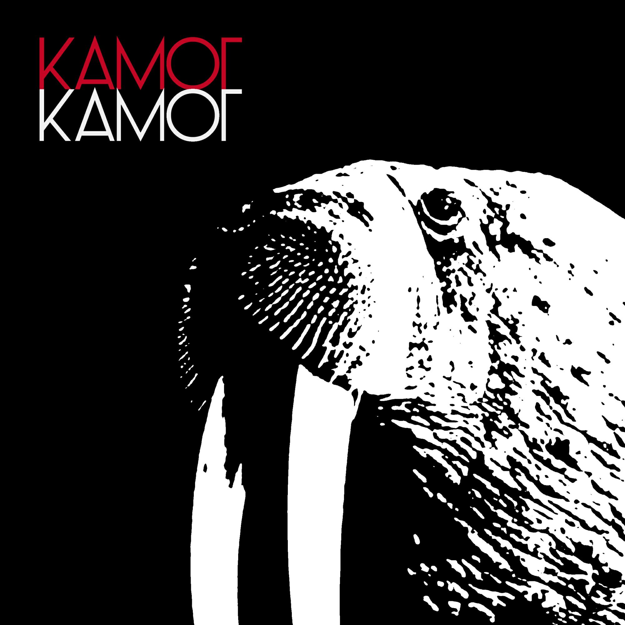 Релиз Камог Камог