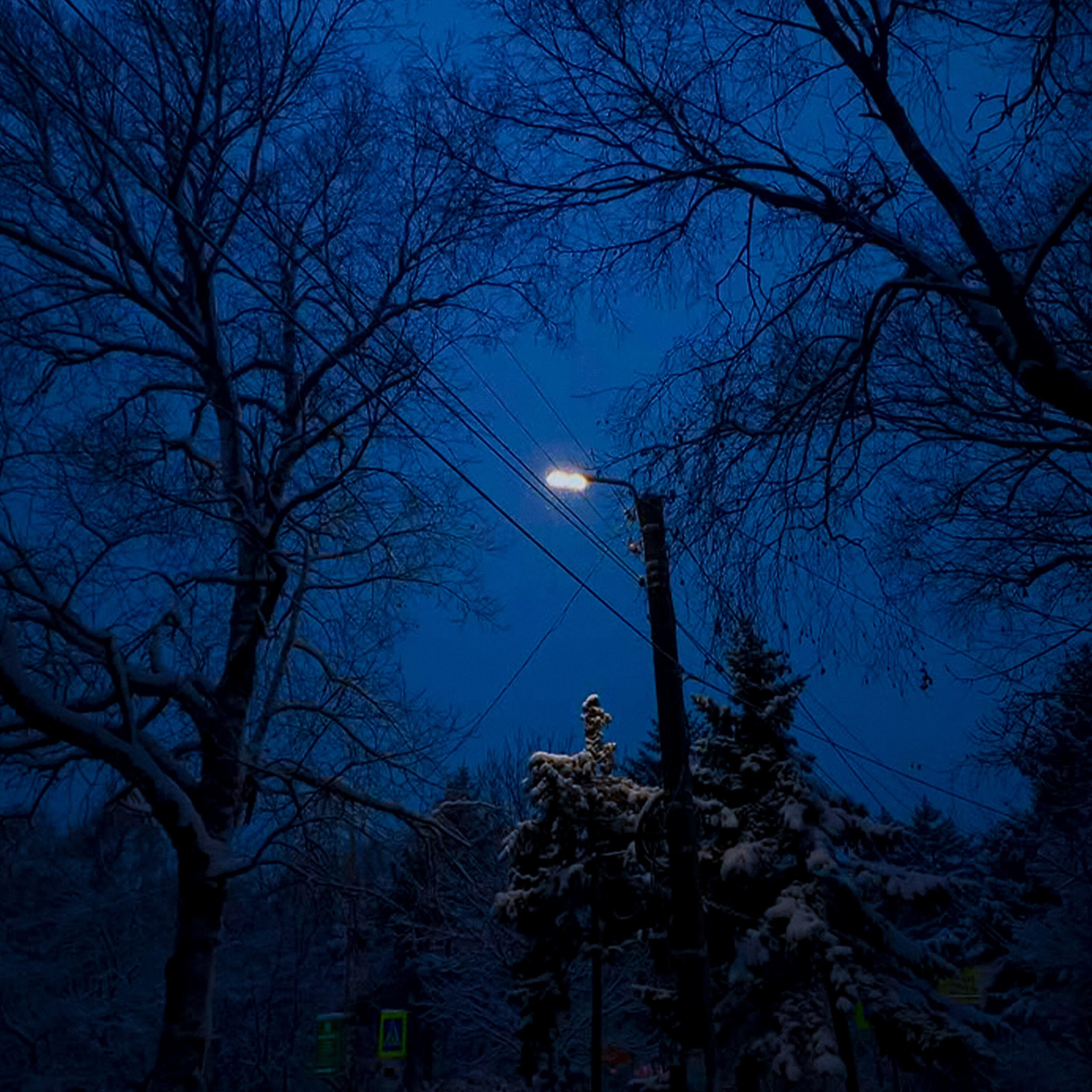 Релиз Winter Vibes