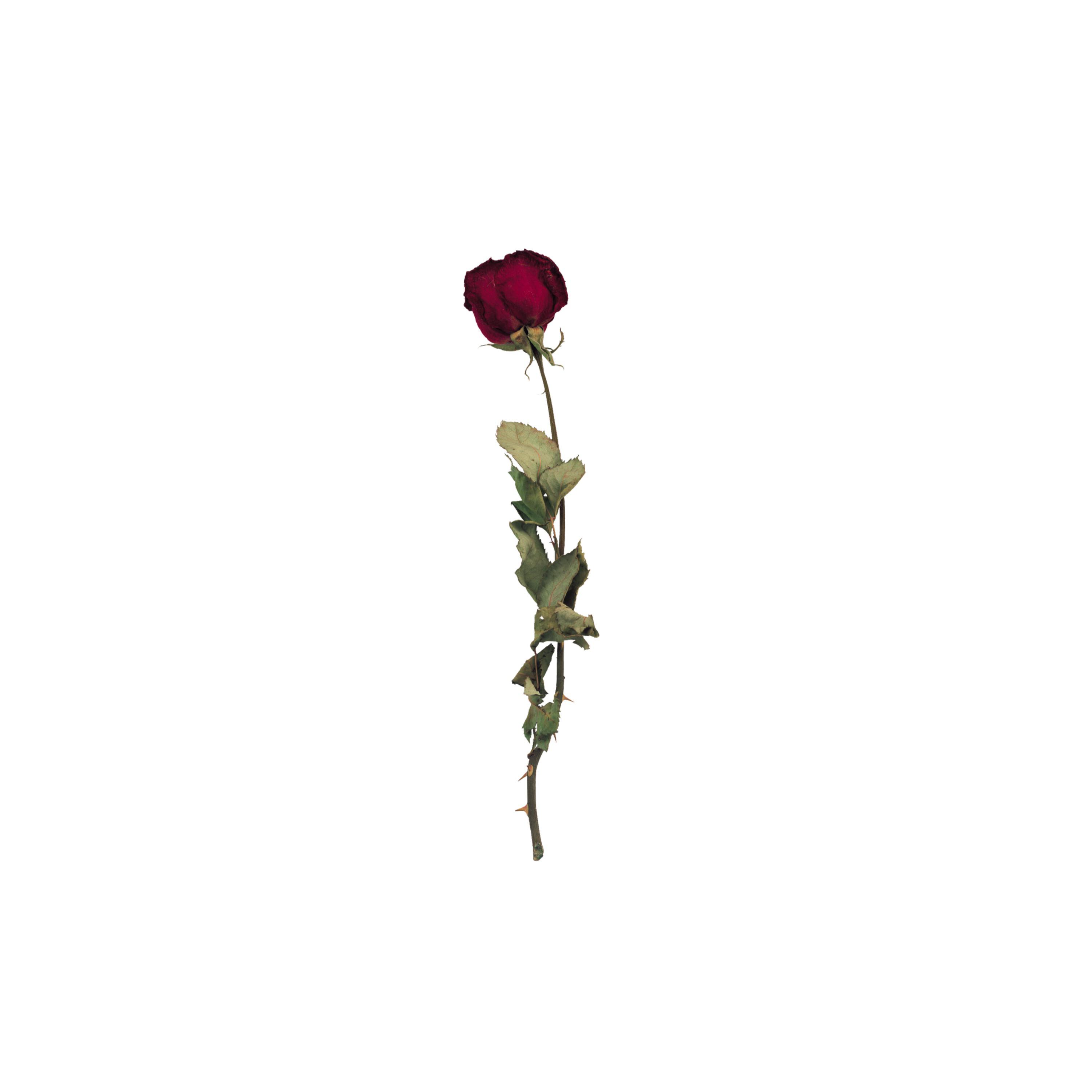 Релиз Память
