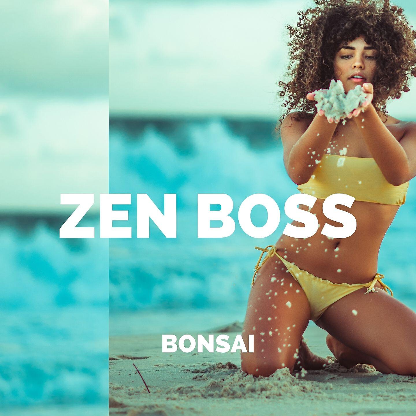Релиз Bonsai