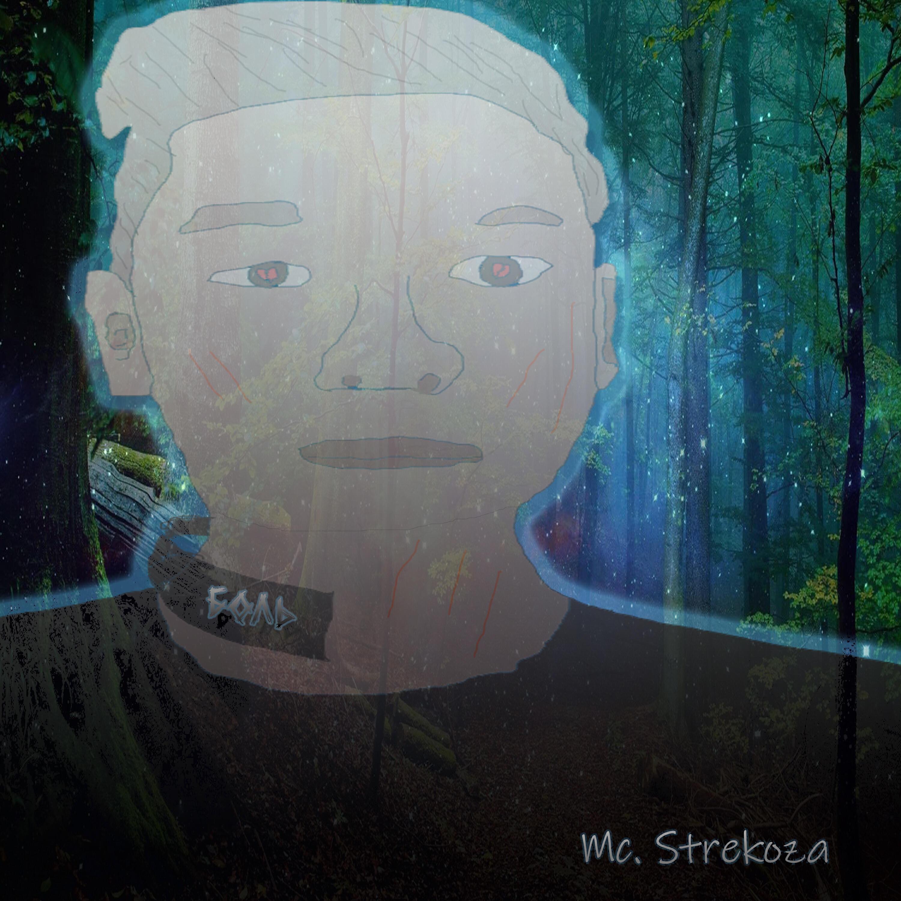 Мс. Strekoza