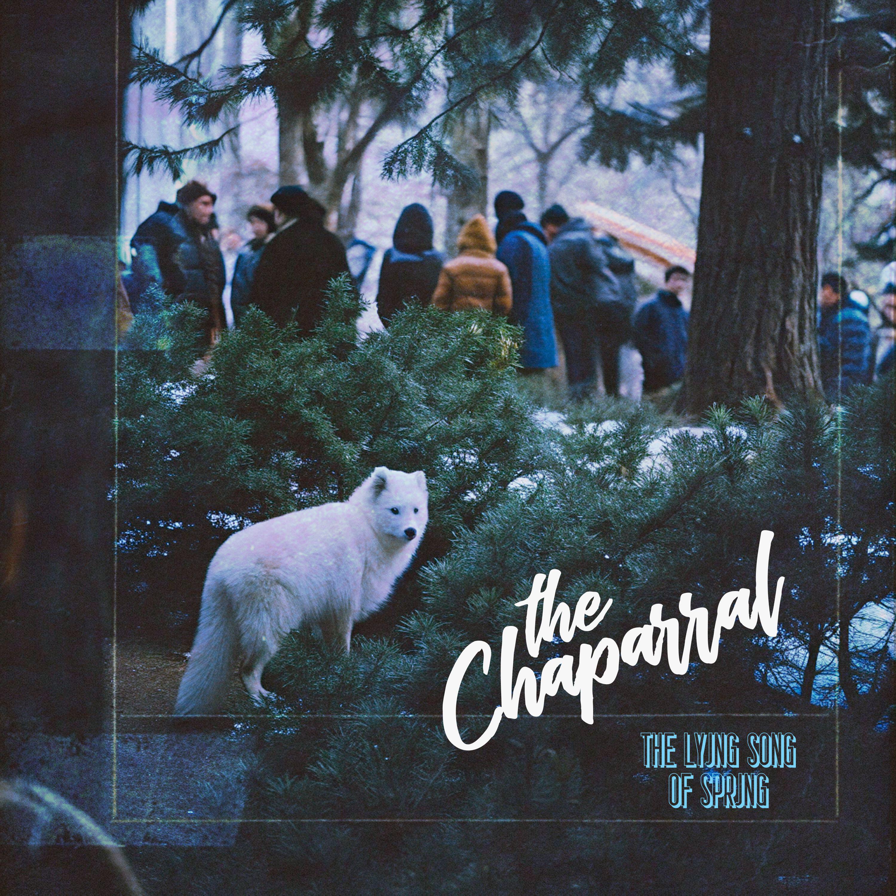 the Chaparral