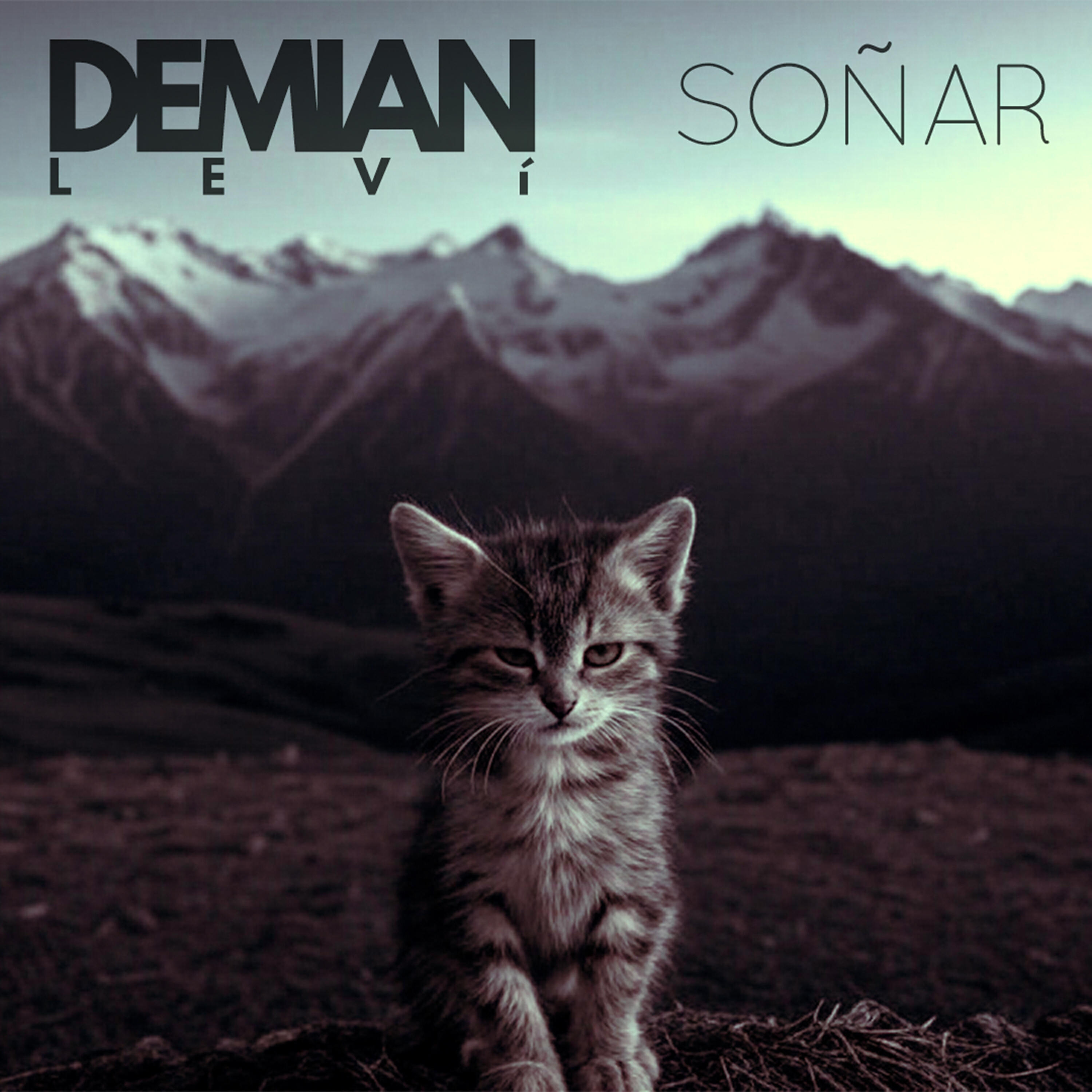 Релиз Soñar