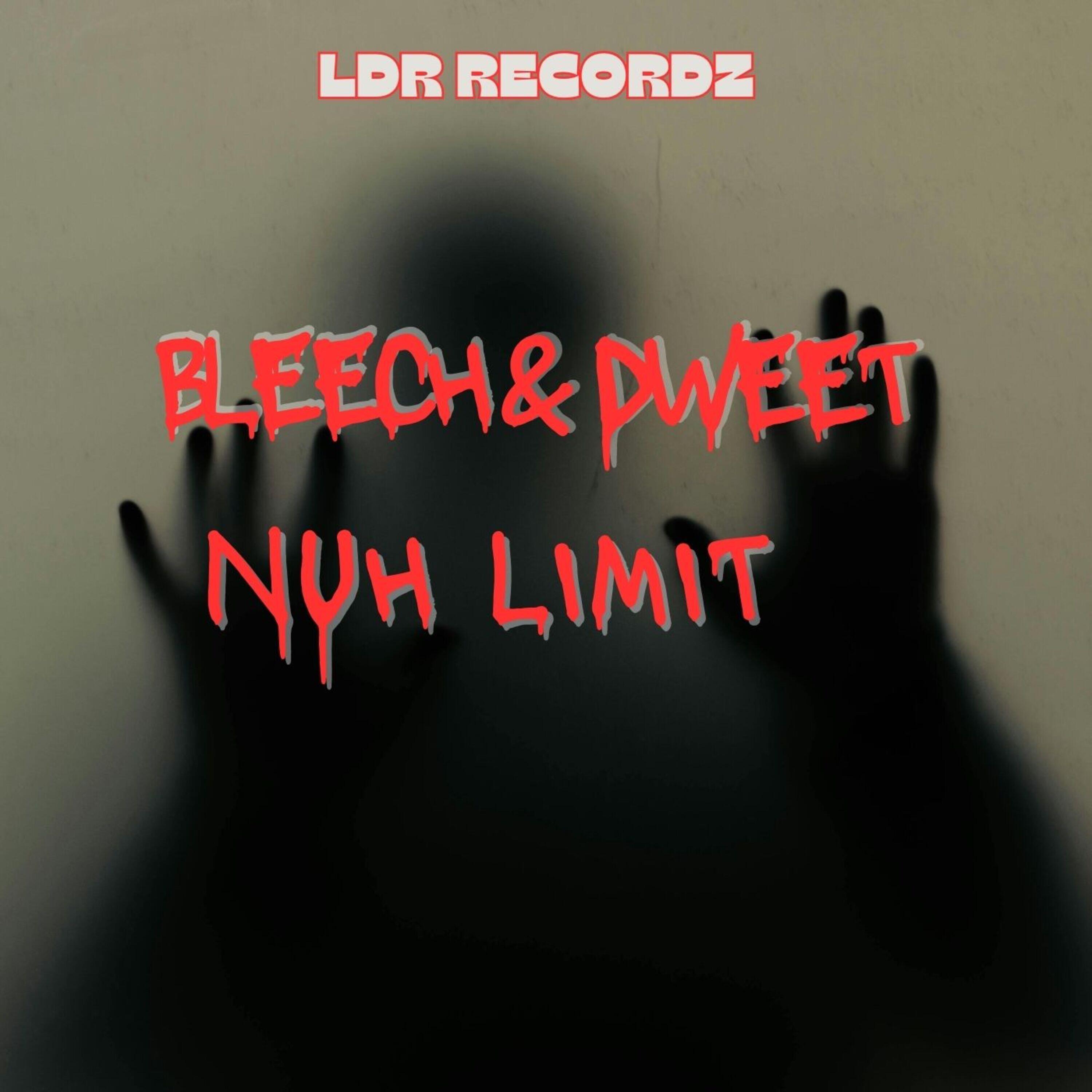 Релиз Bleech&Dweet