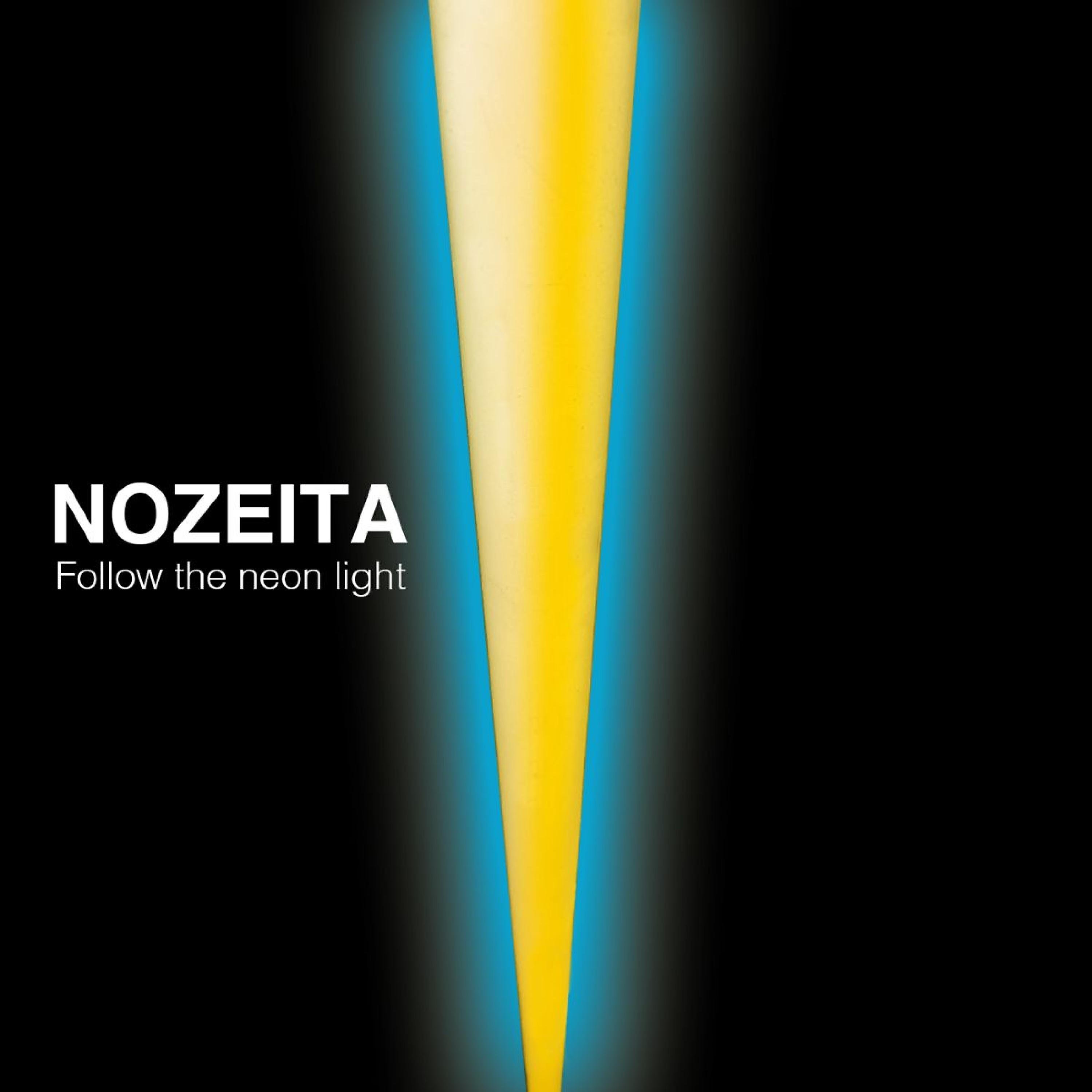 Nozeita