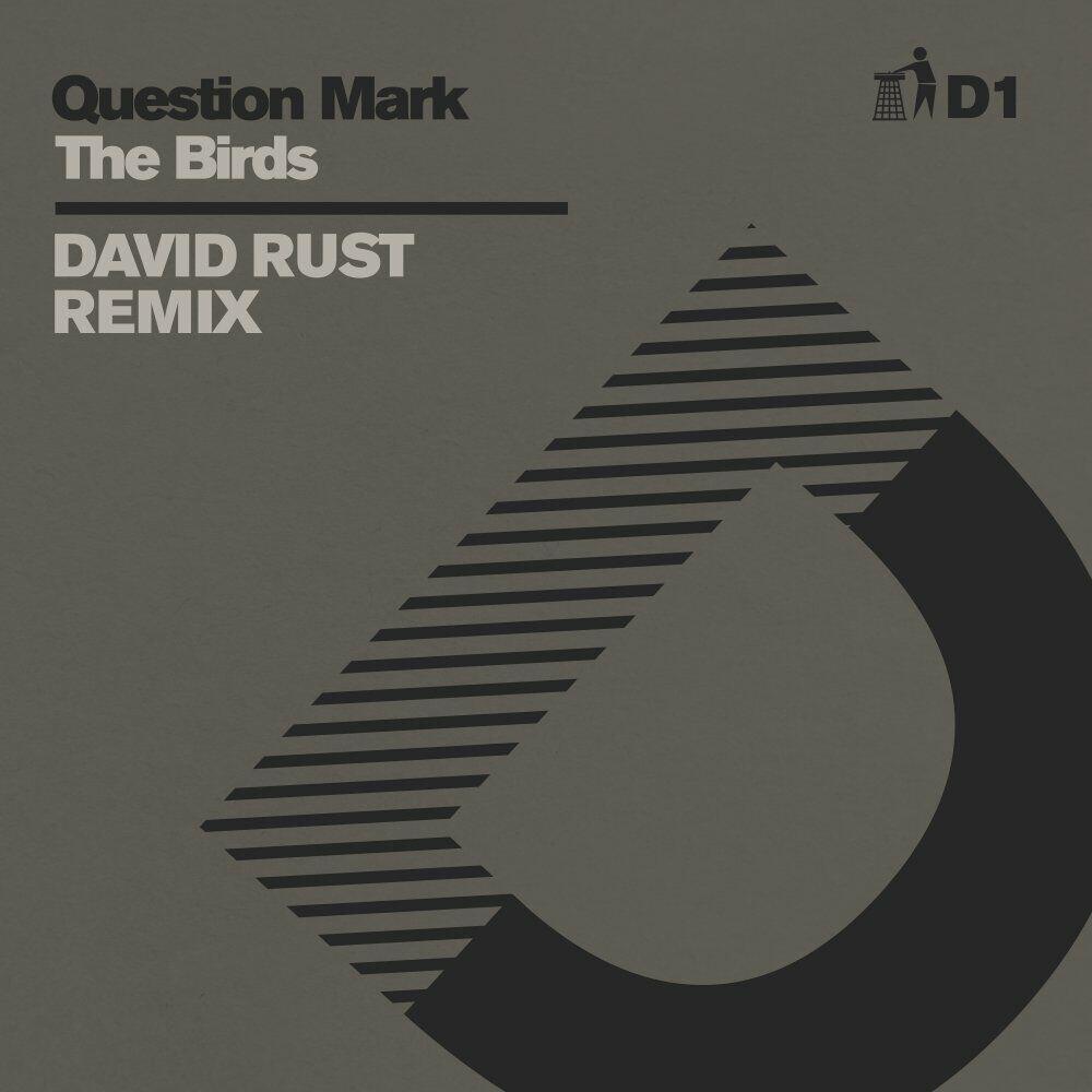 Релиз The Birds (David Rust Remix - D1)