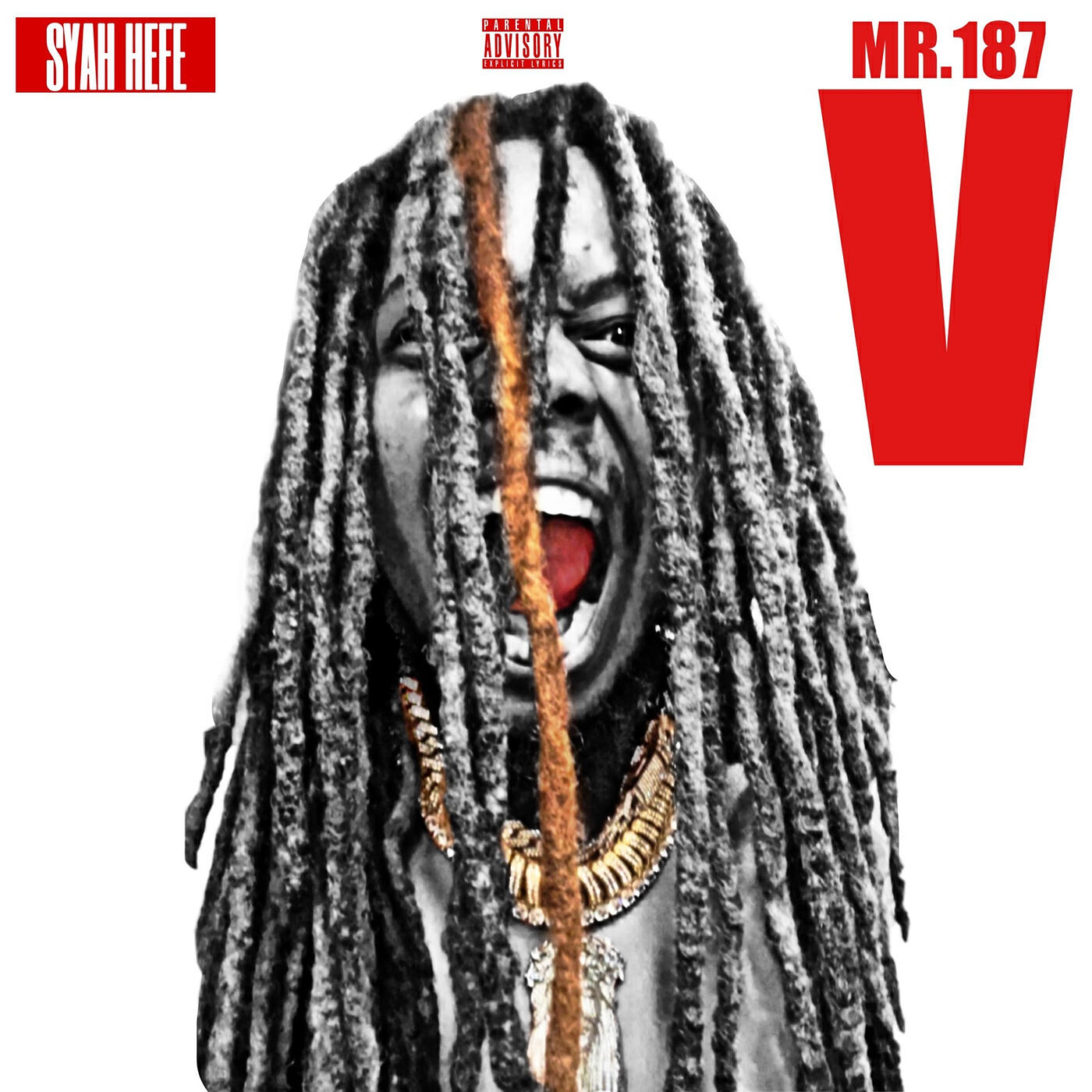 Постер альбома Mr 187 V