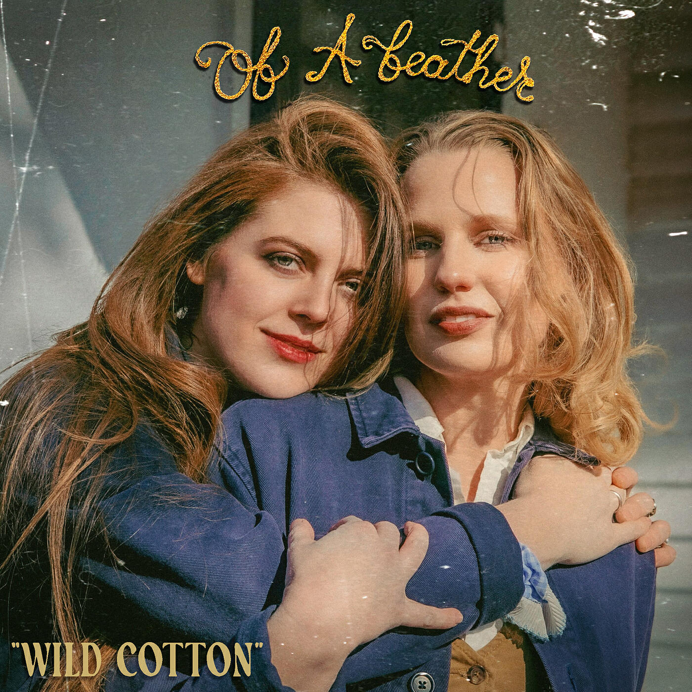 Релиз Wild Cotton