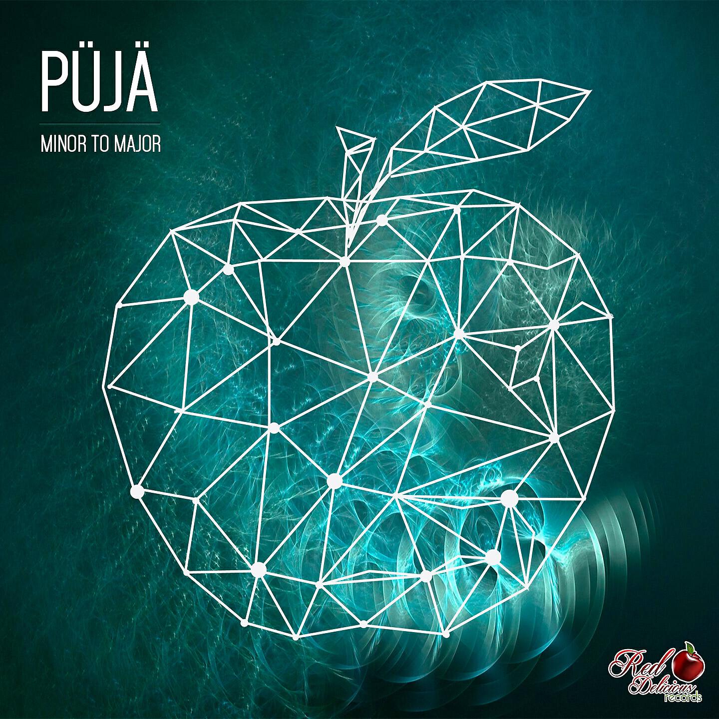 Релиз Püjä