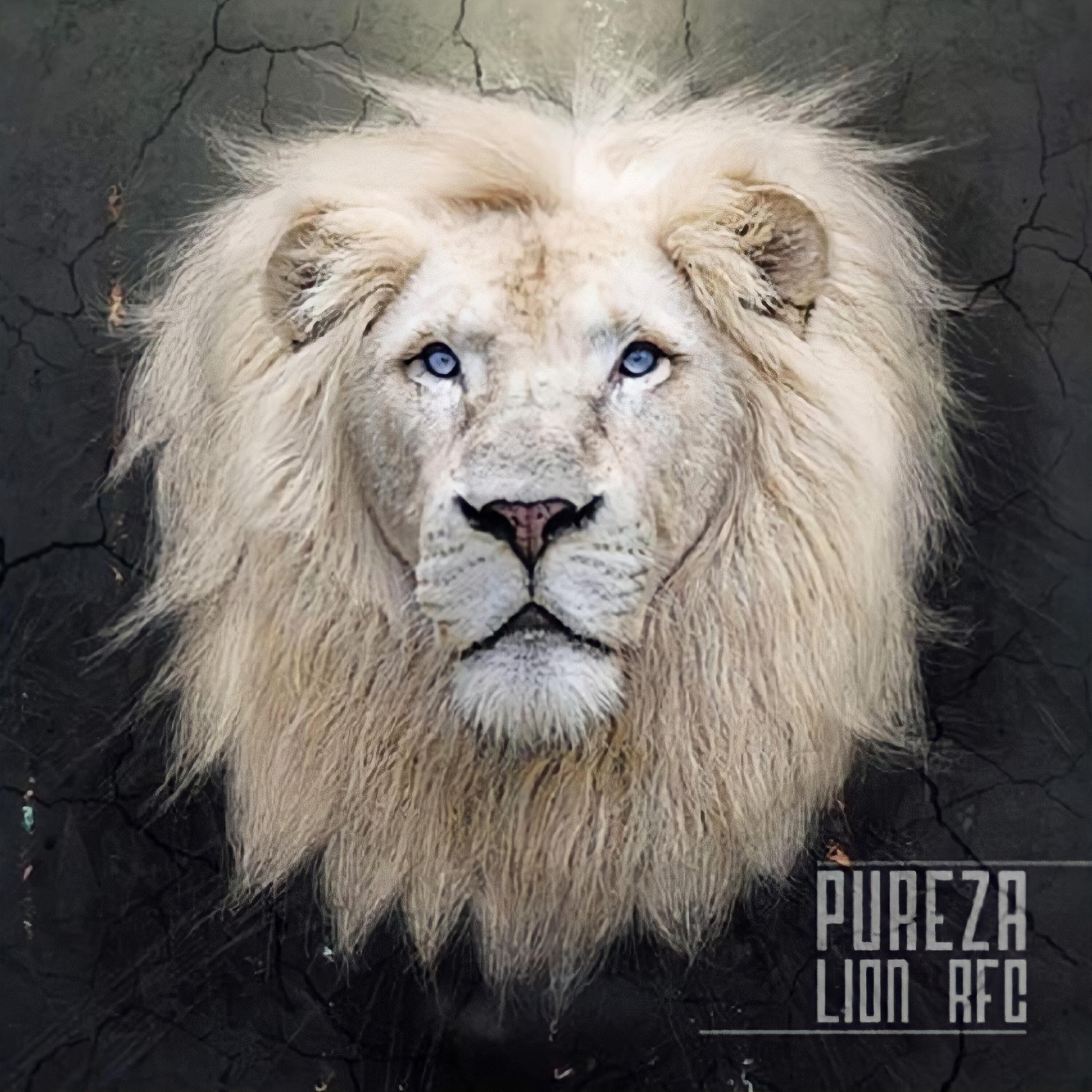 Релиз Pureza