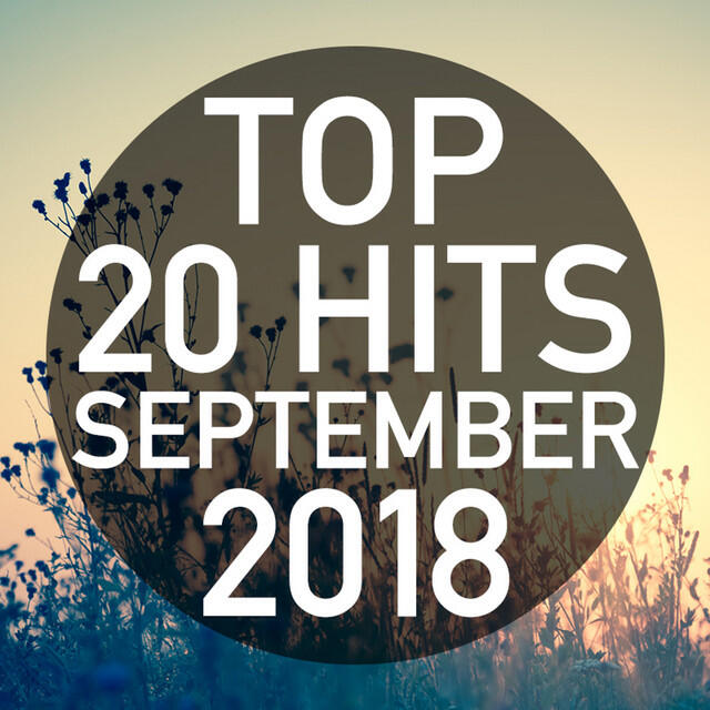 Релиз Top 20 Hits September 2018 (Instrumental)