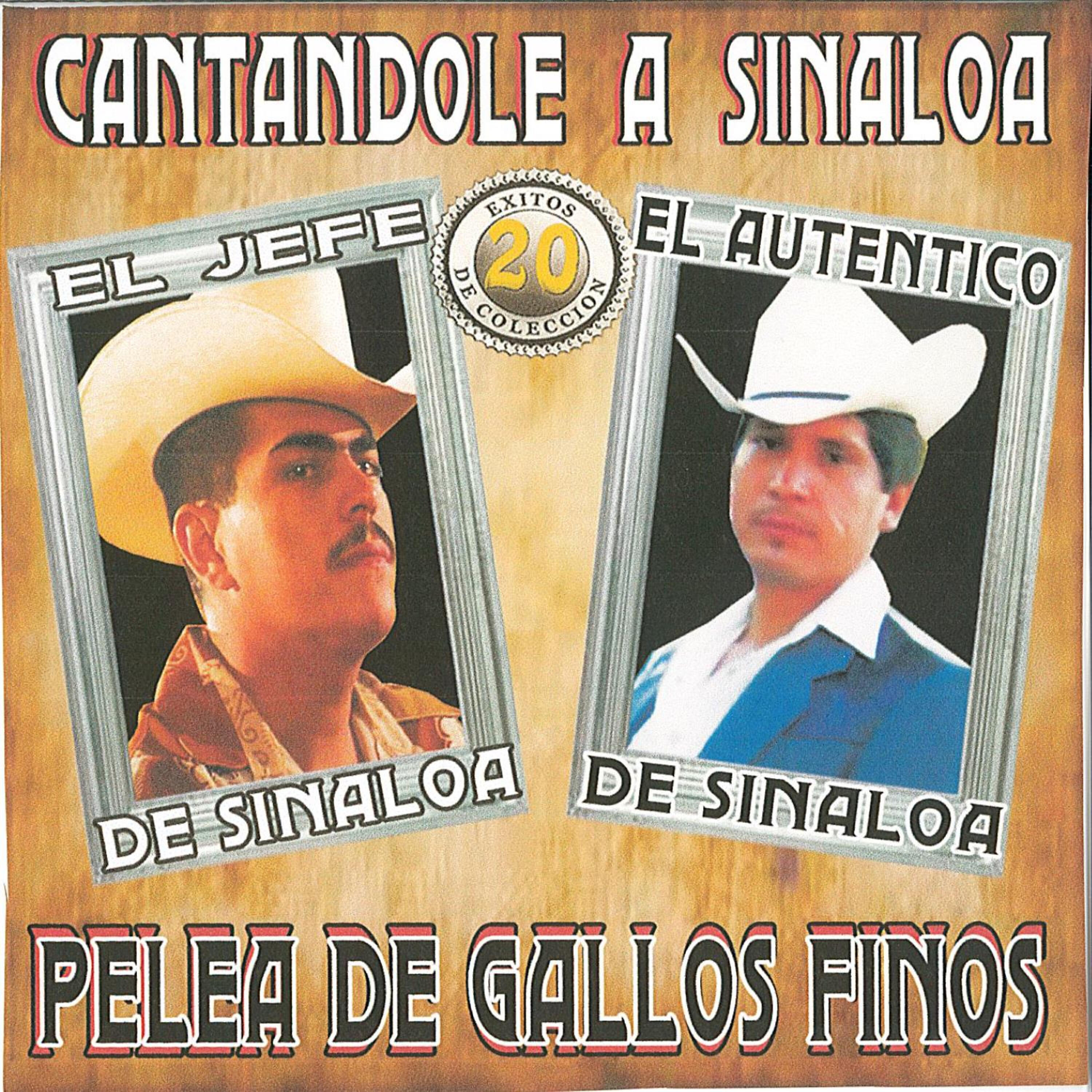 El Jefe De Sinaloa