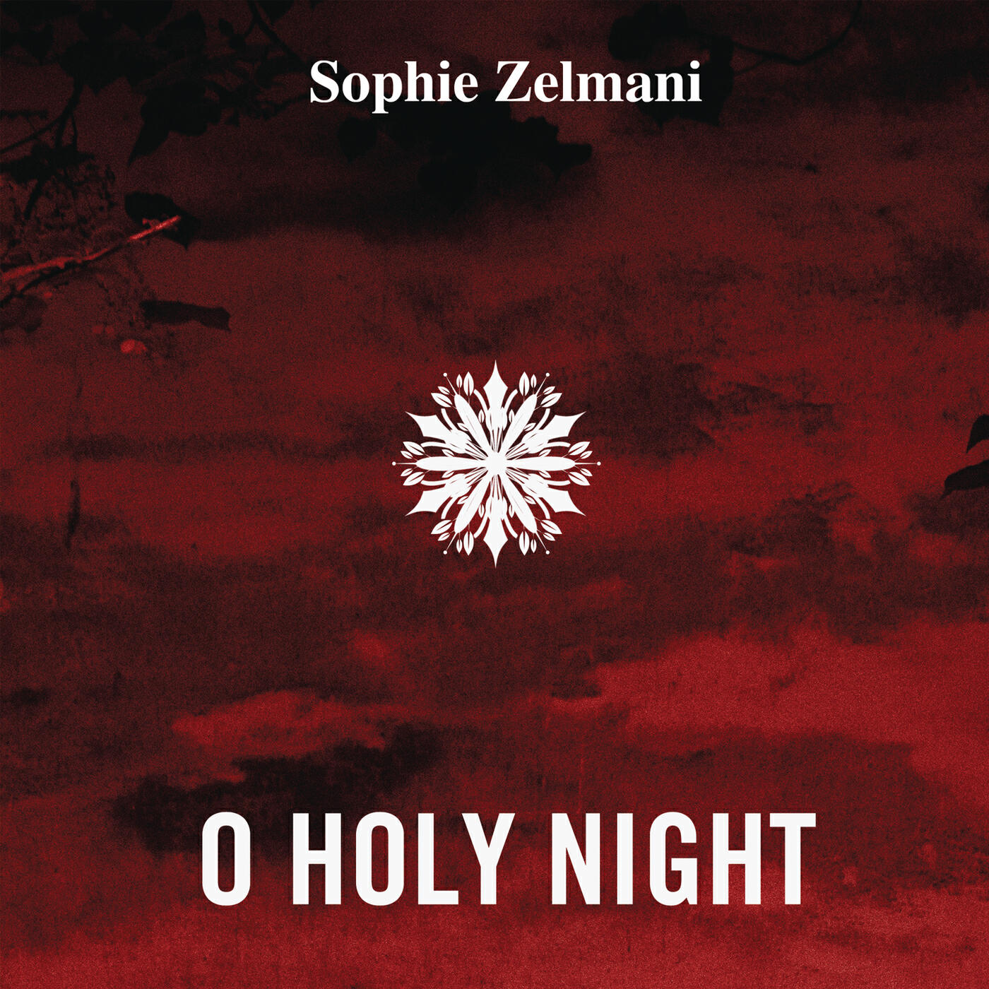 Постер альбома O Holy Night