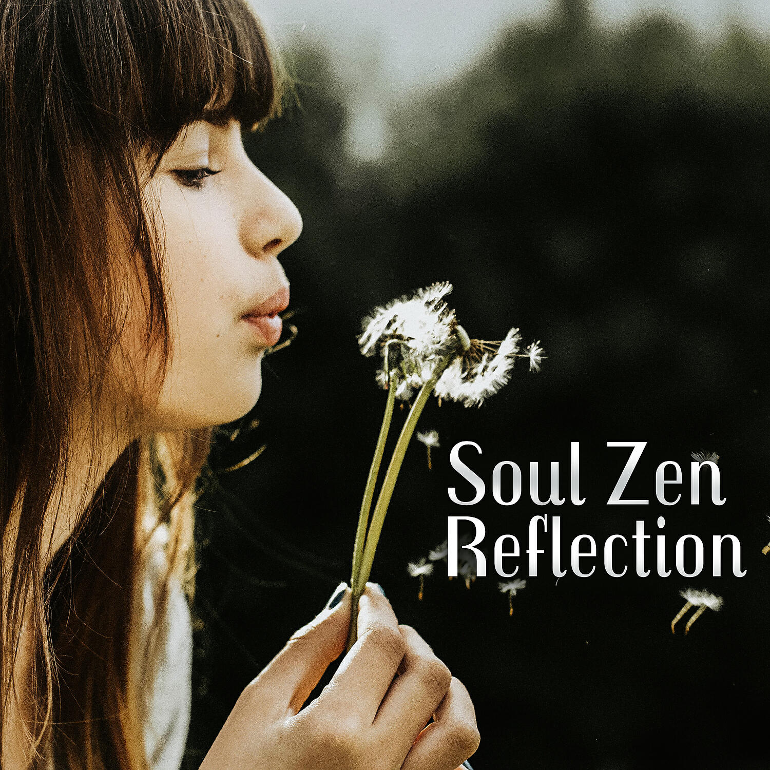 Релиз Soul Zen Reflection: The Moment of Clarity and Wisdom
