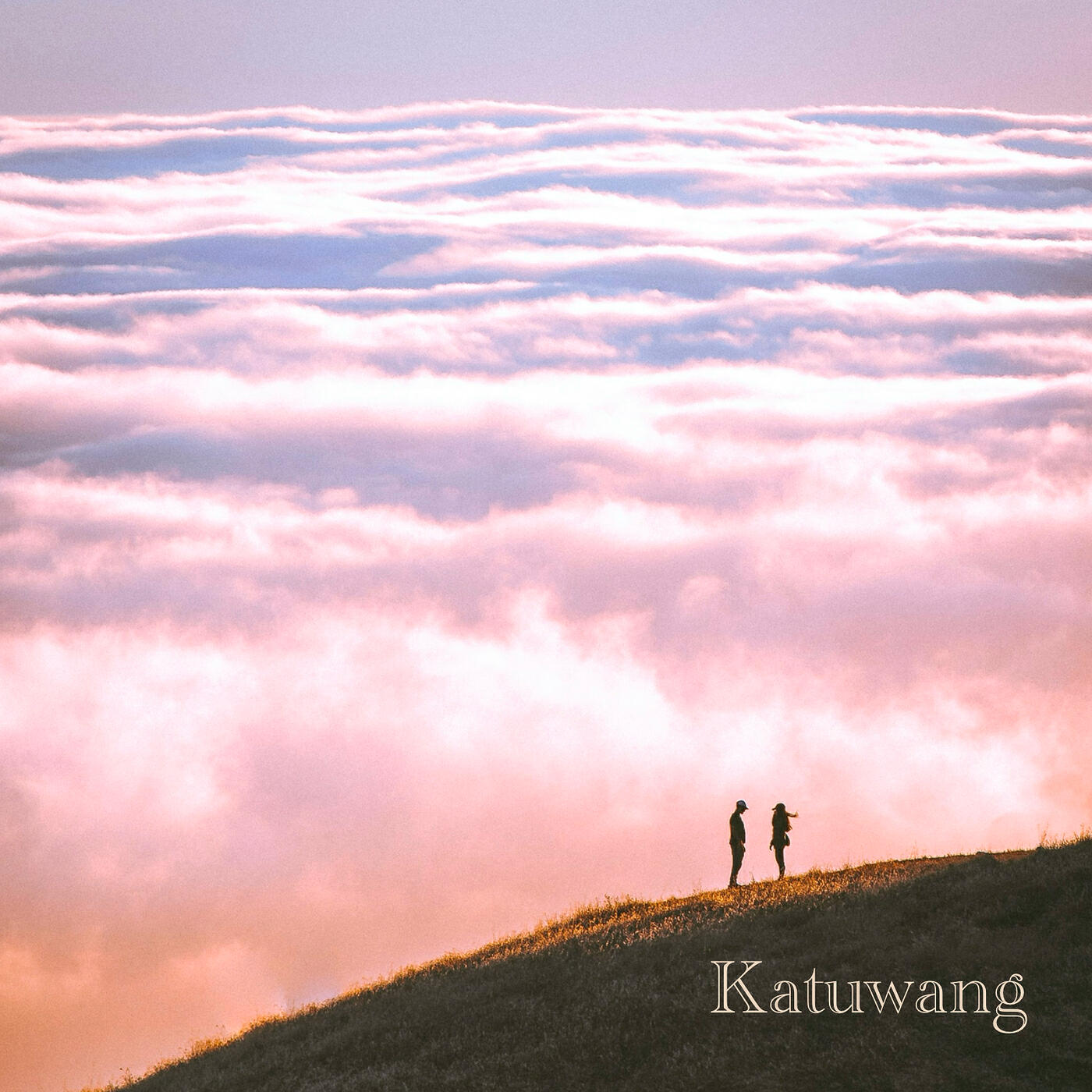 Релиз Katuwang