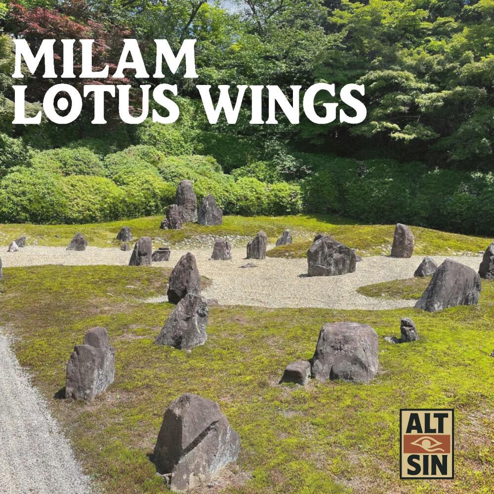 Релиз Lotus Wings