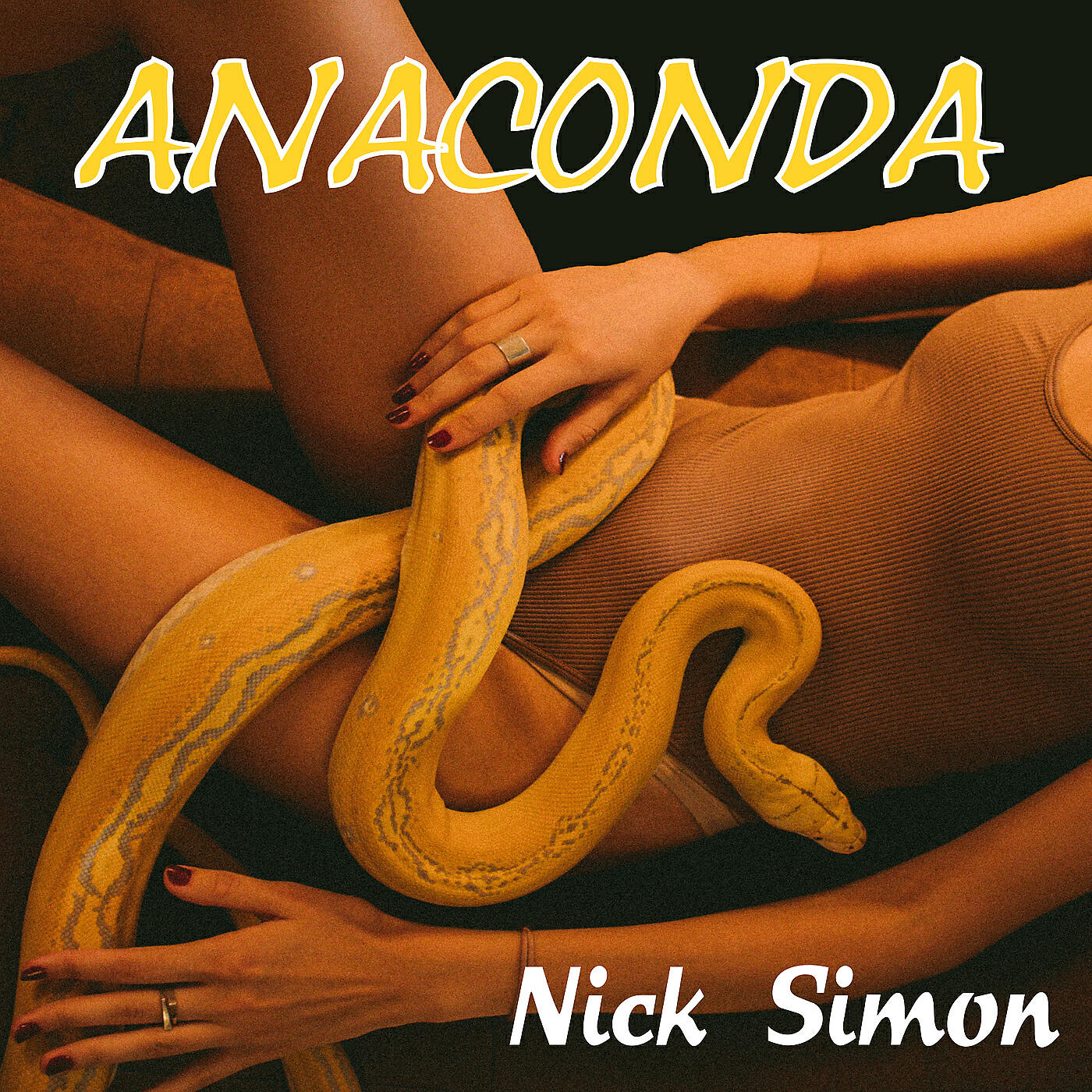 Релиз Anaconda