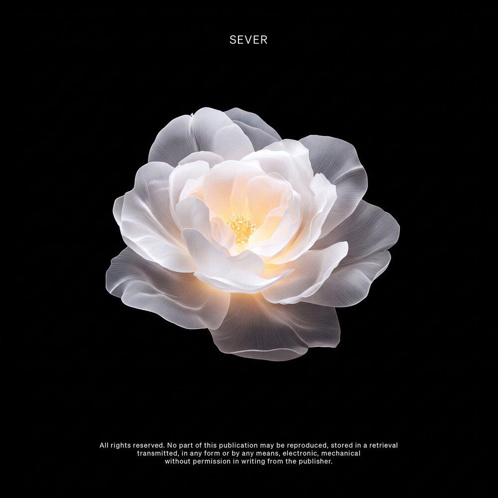 Релиз Vision White