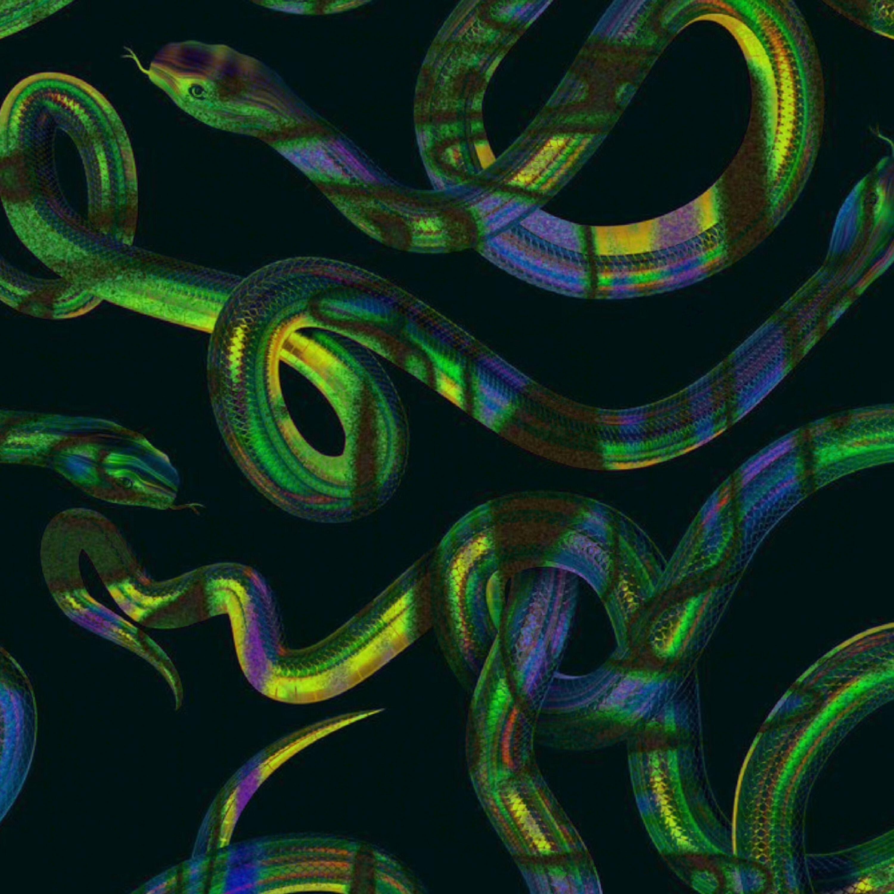 Релиз Viper