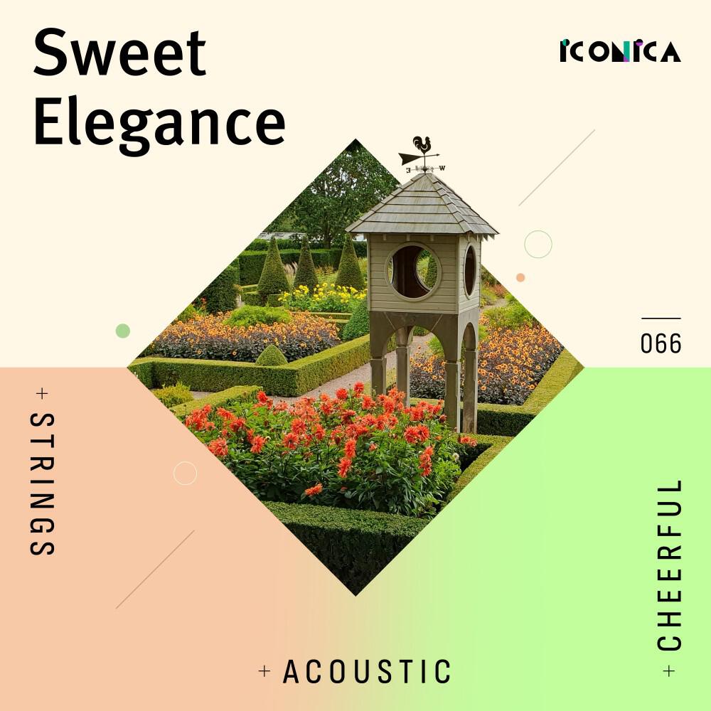 Релиз Sweet Elegance