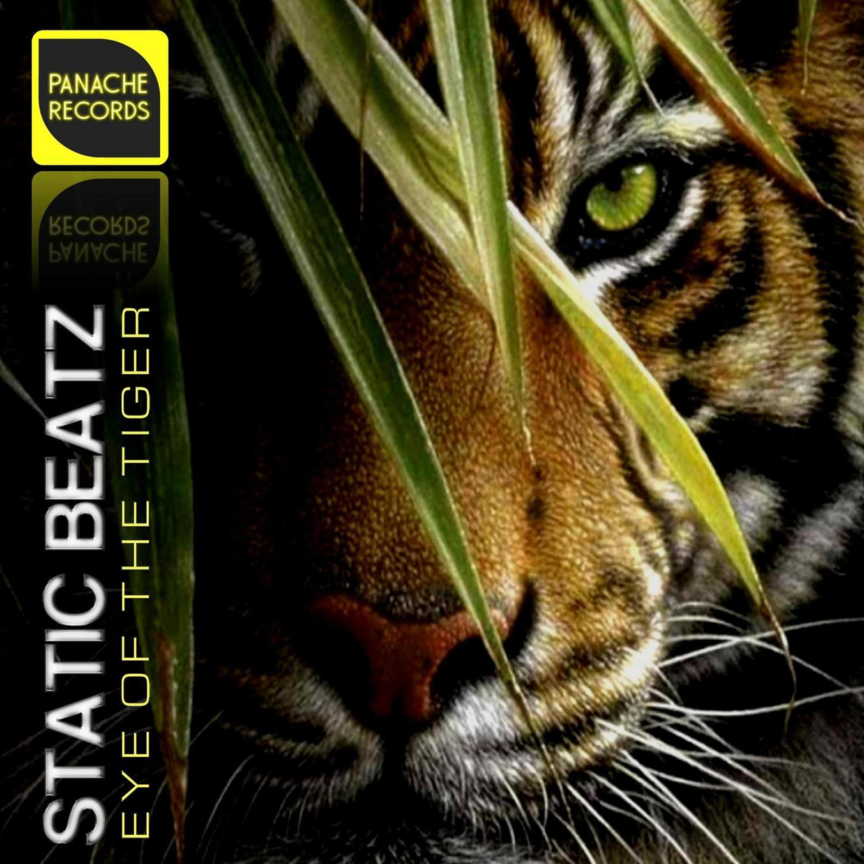 Релиз Eye of the Tiger