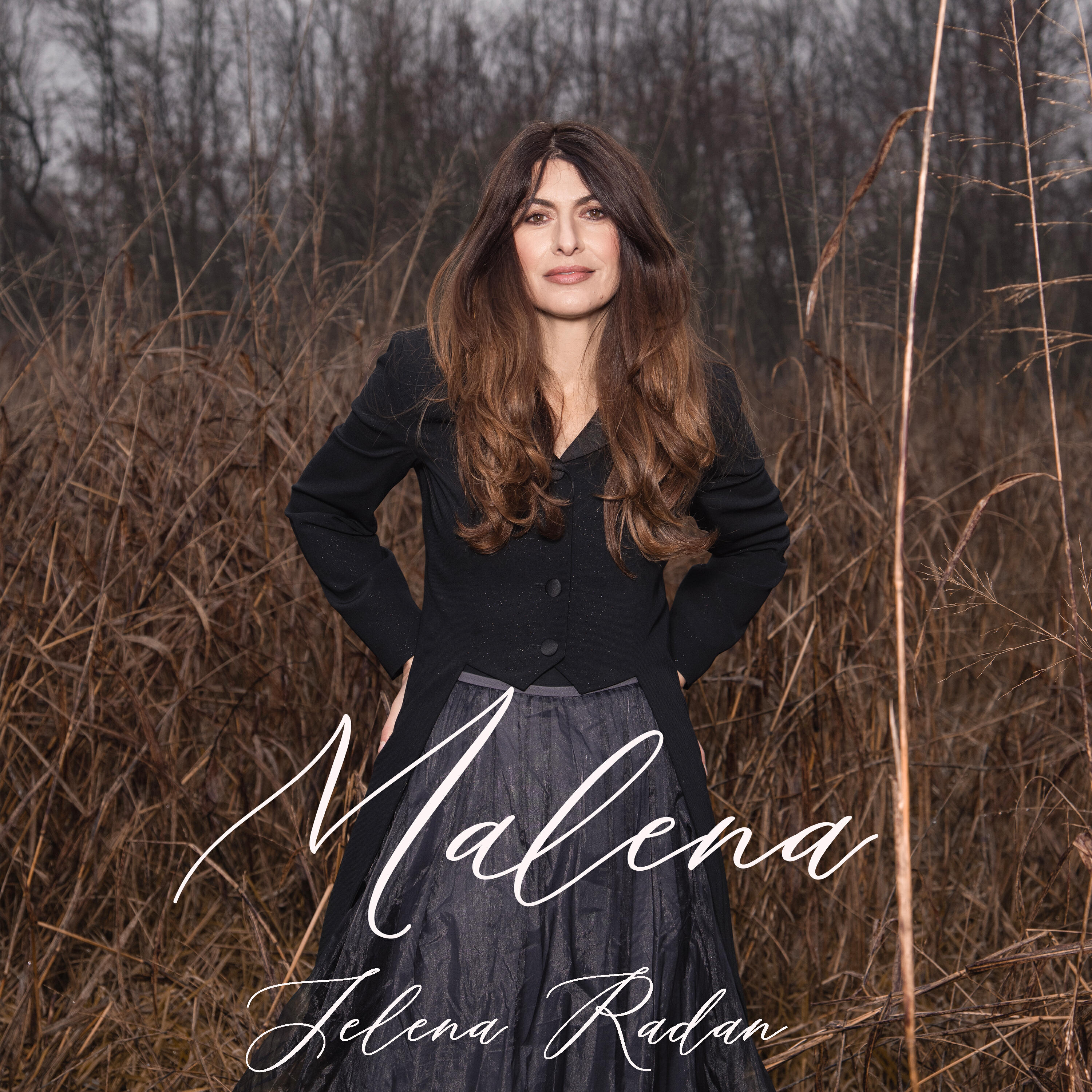 Постер альбома Malena
