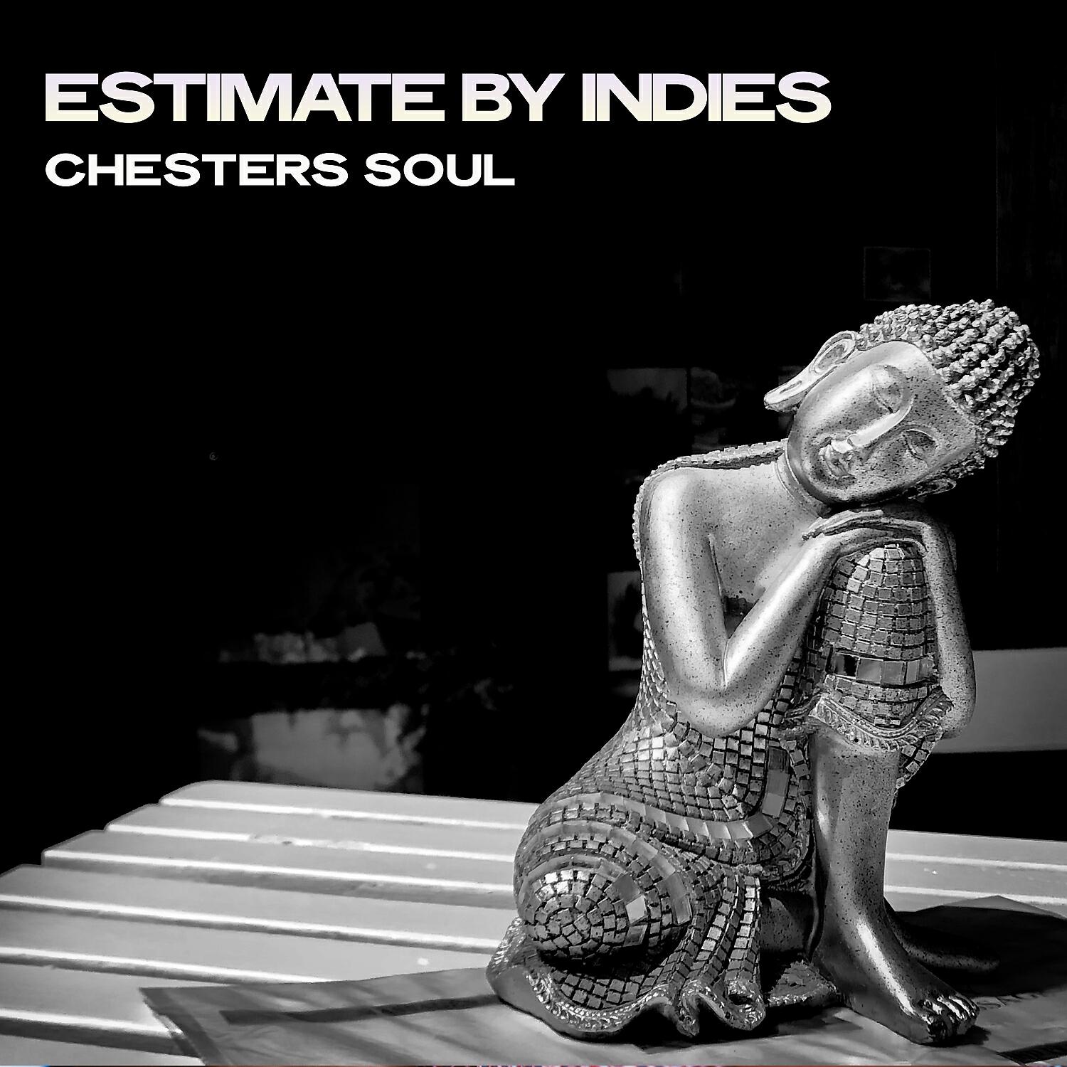 Релиз Estimate by Indies