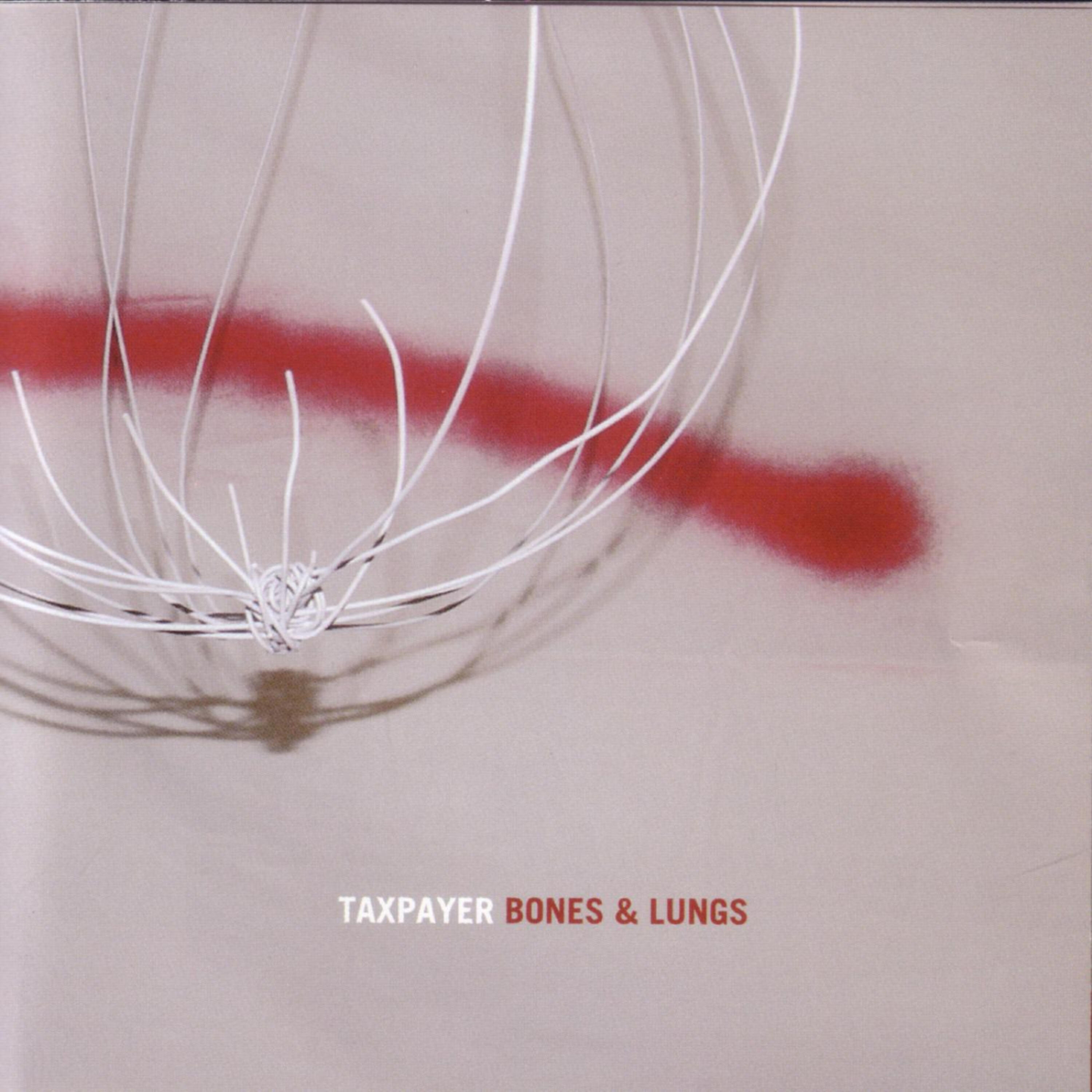 Aaron Perrino (Dear Leader)