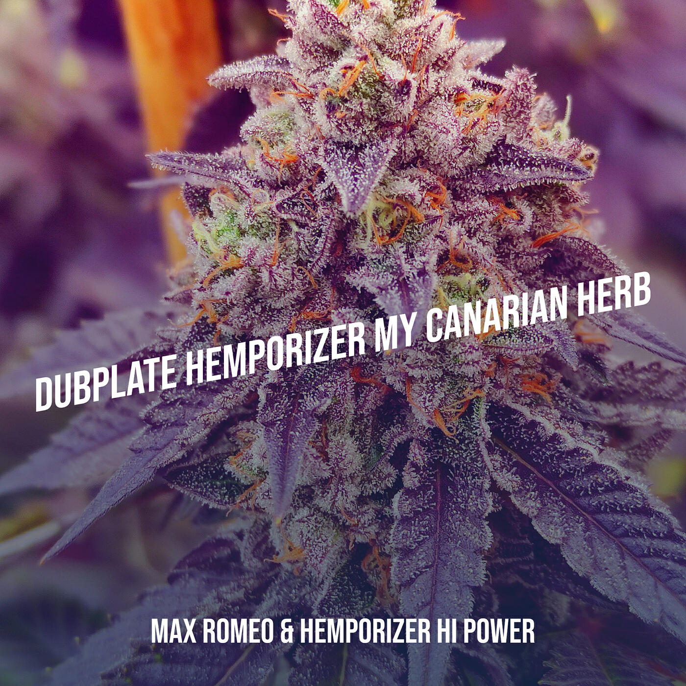 Постер альбома Dubplate Hemporizer My Canarian Herb