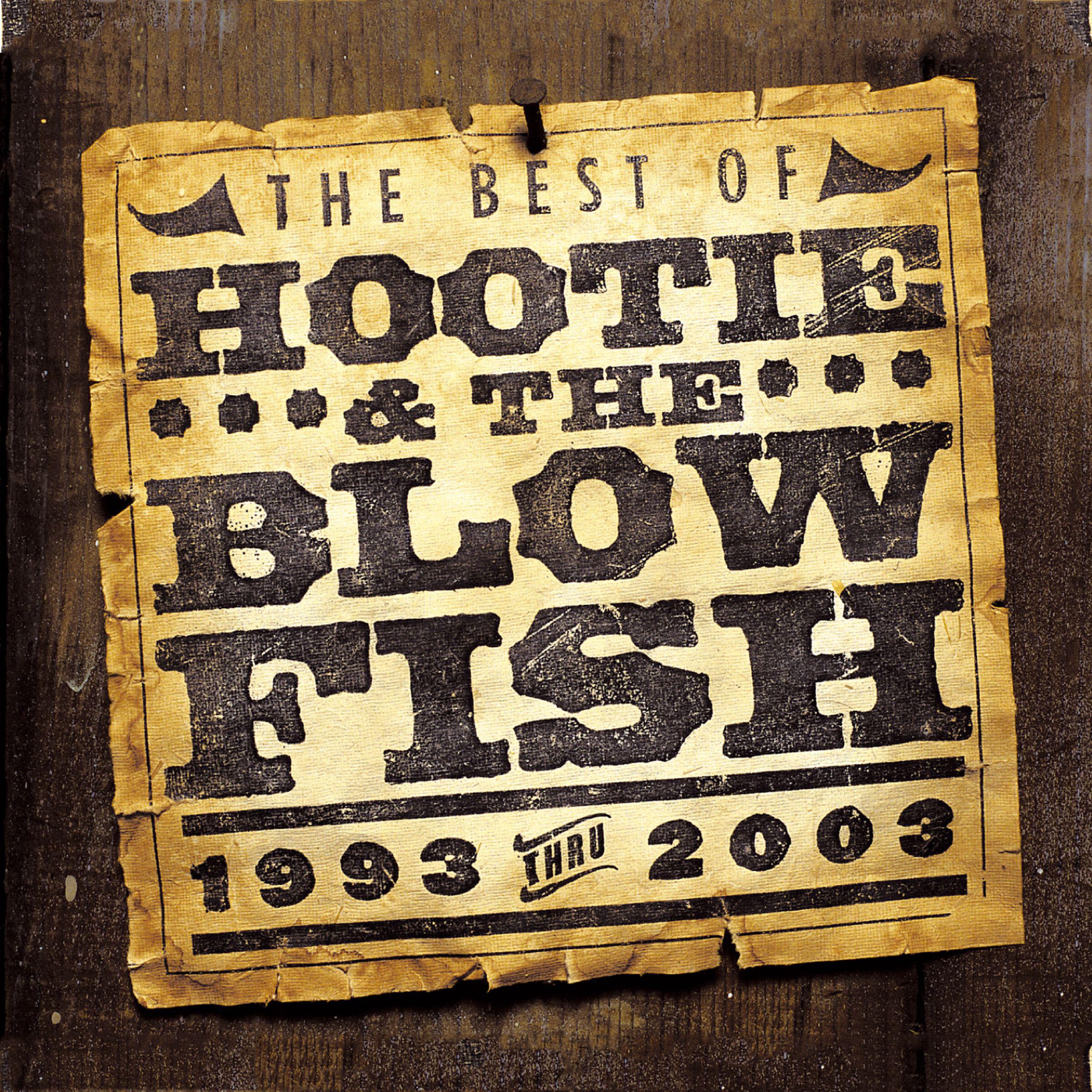 Релиз The Best of Hootie & The Blowfish (1993 - 2003)