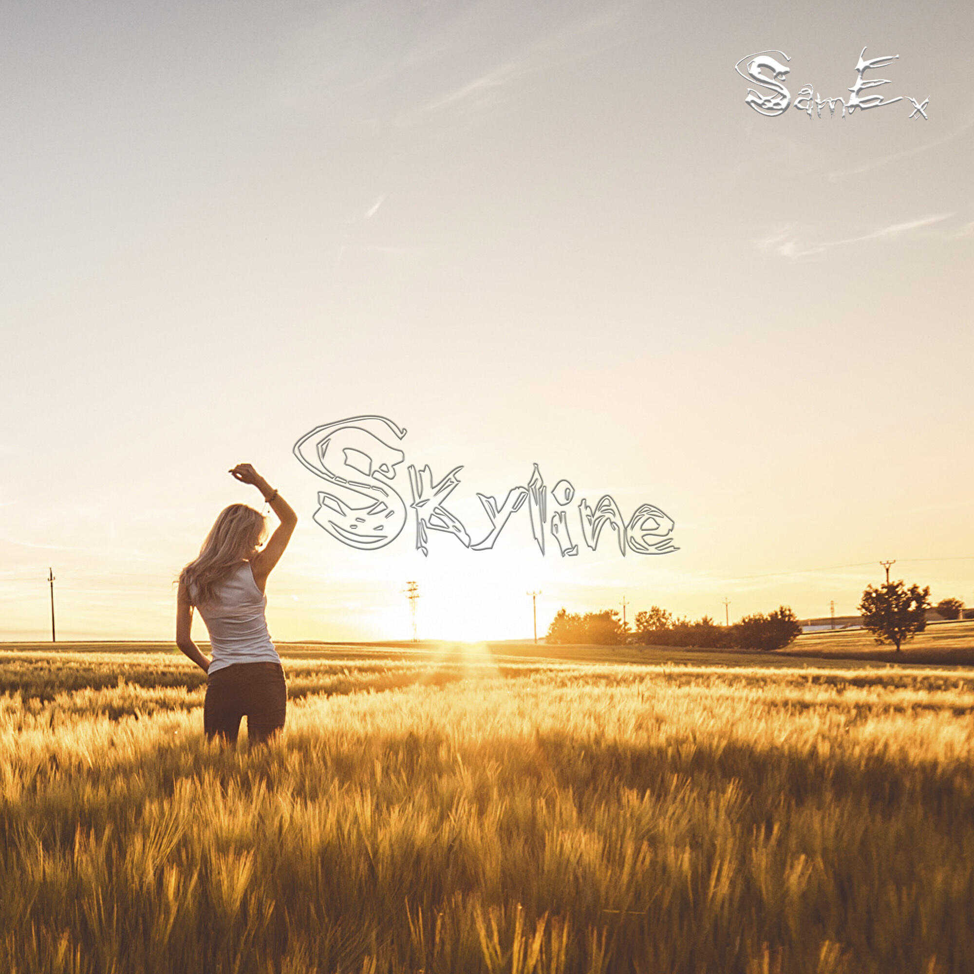 Релиз Skyline