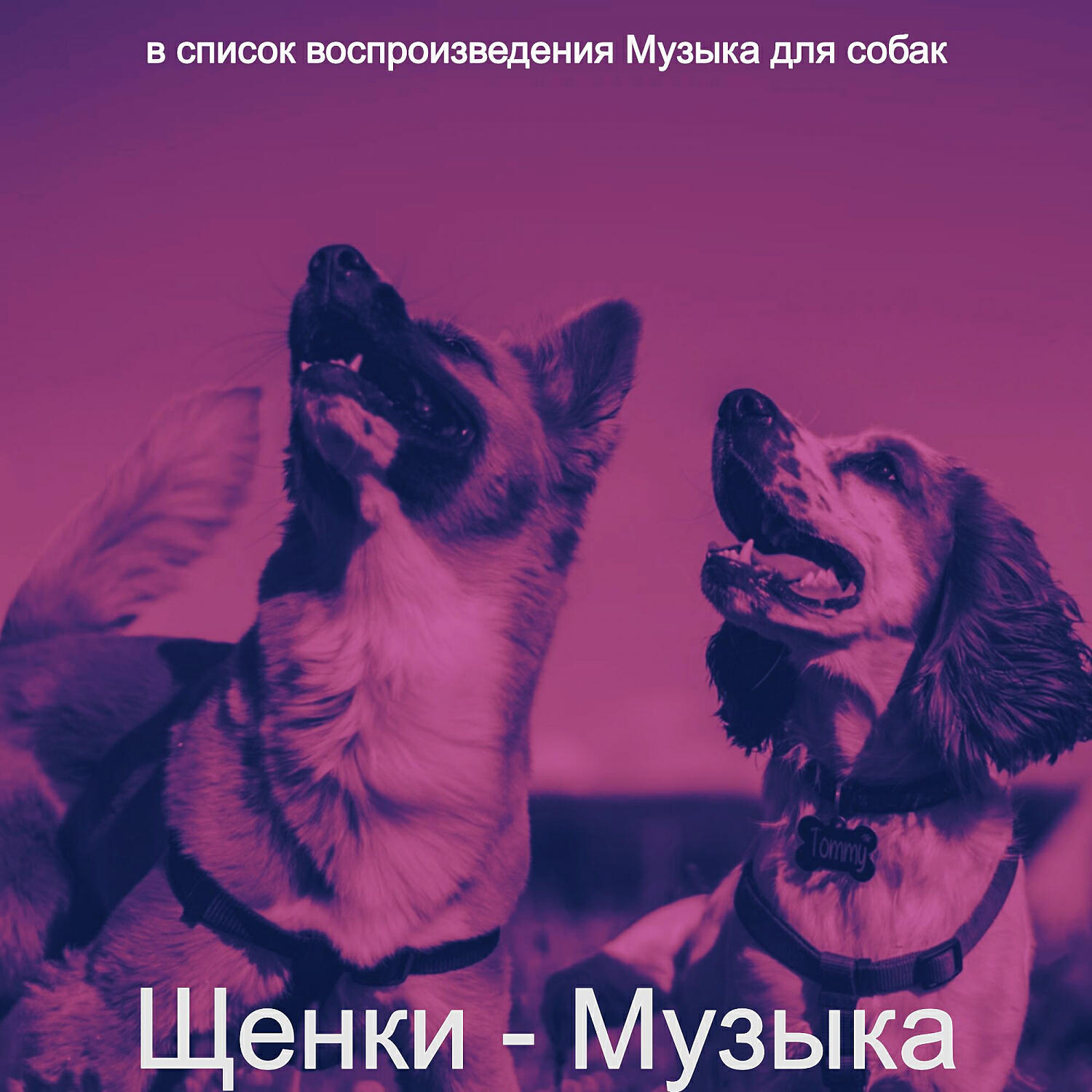 Релиз Щенки - Музыка