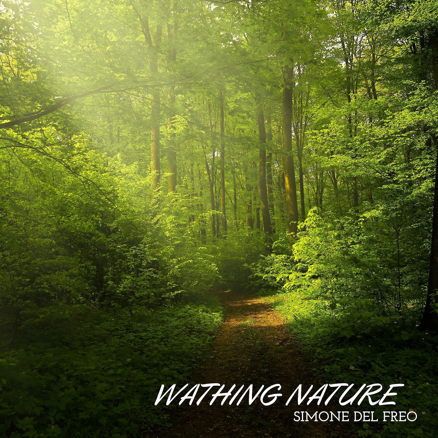 Релиз Watching Nature