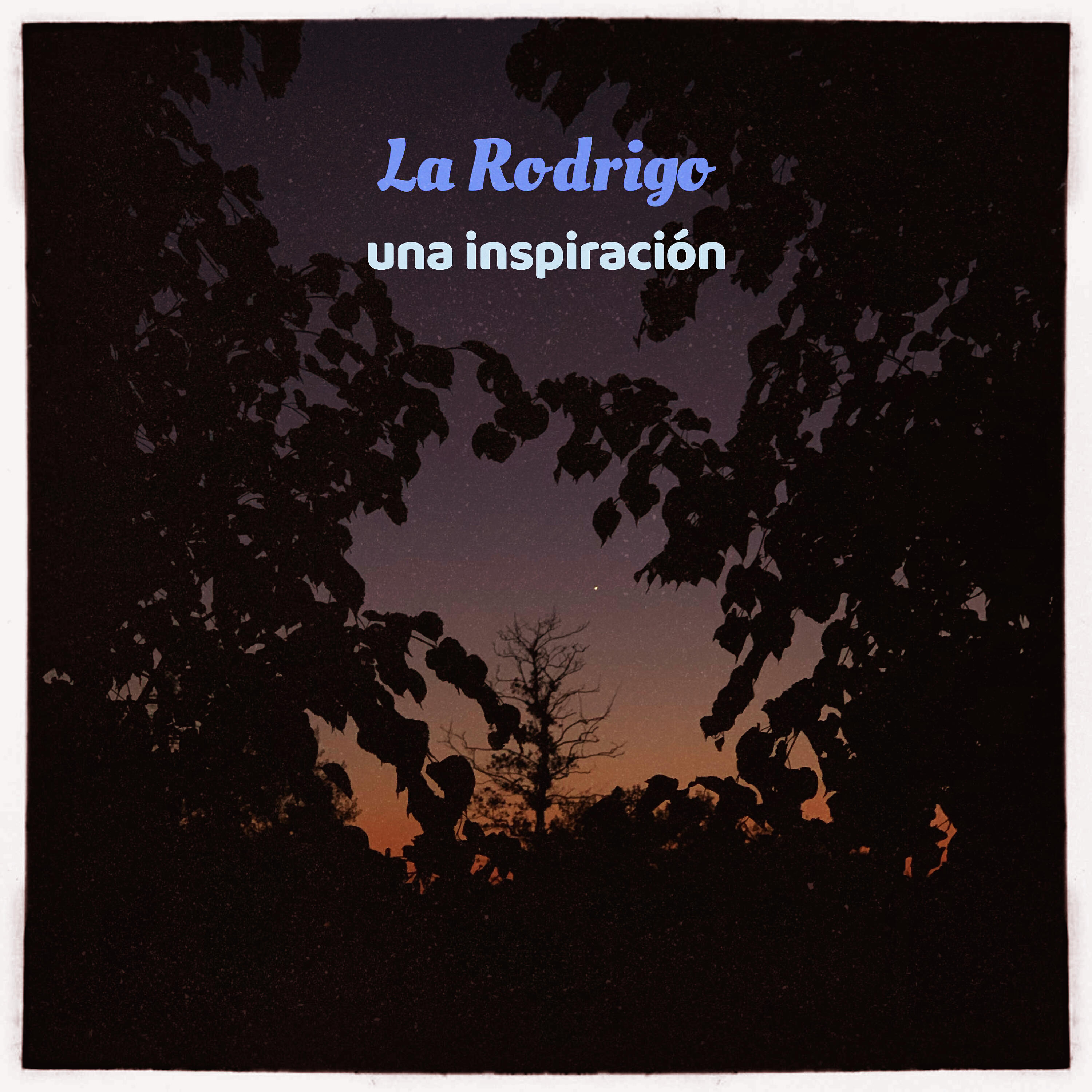 La Rodrigo