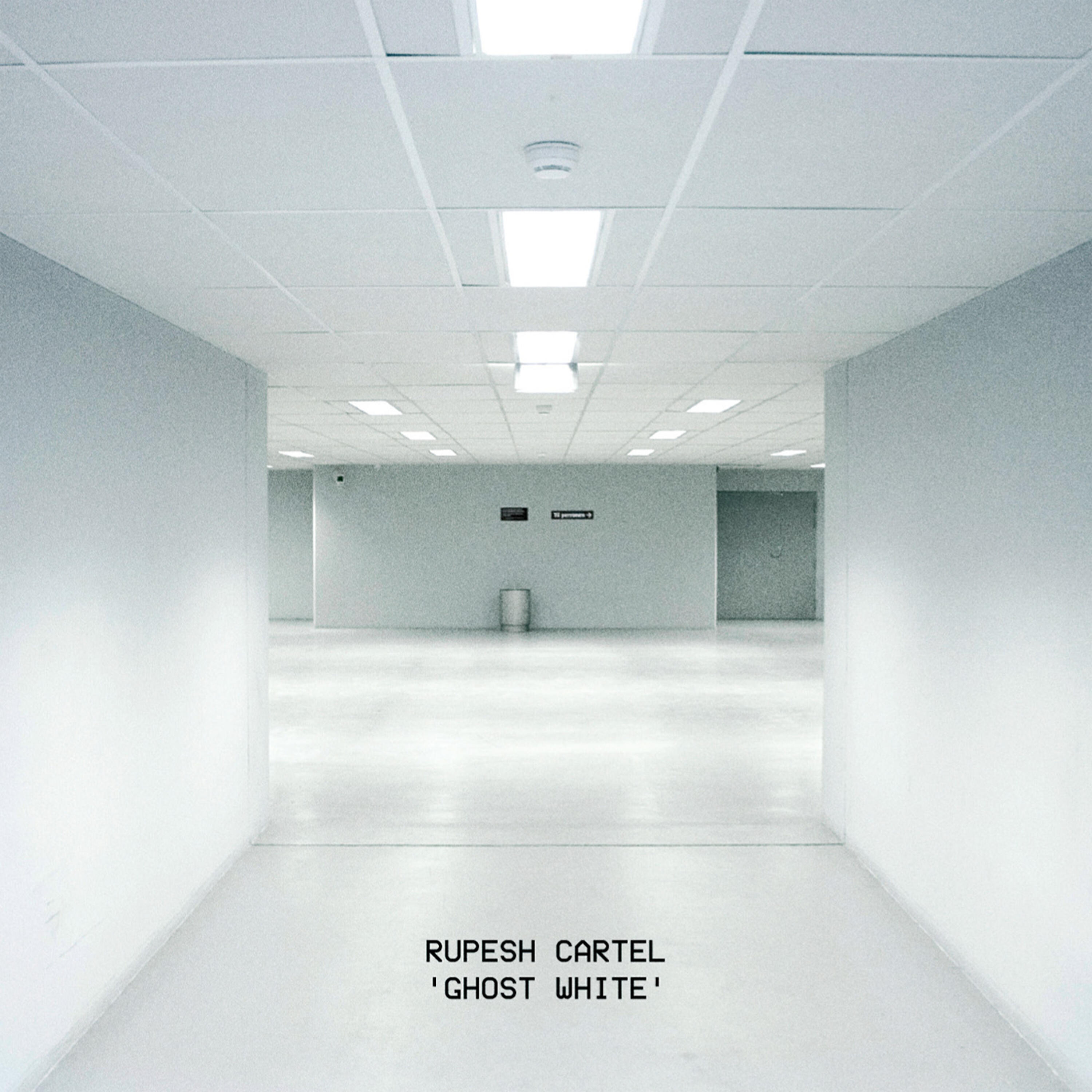 Релиз Ghost White