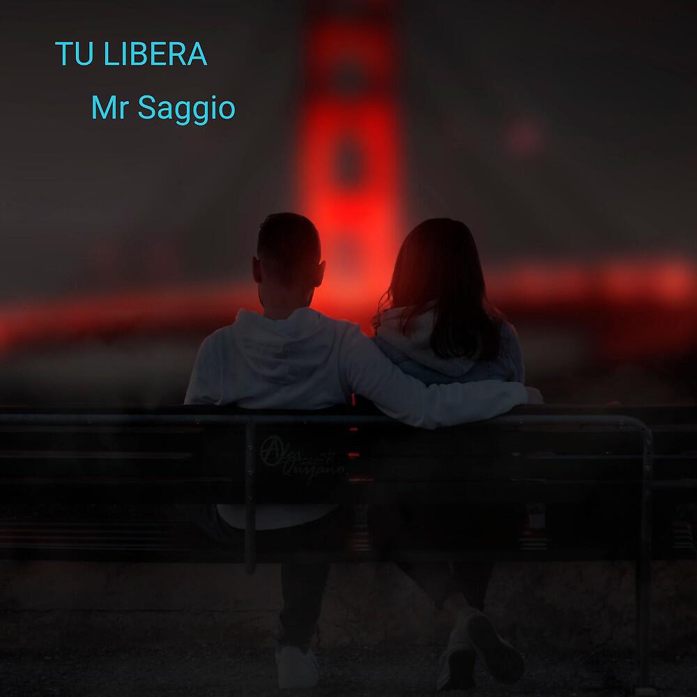 Релиз Tu libera