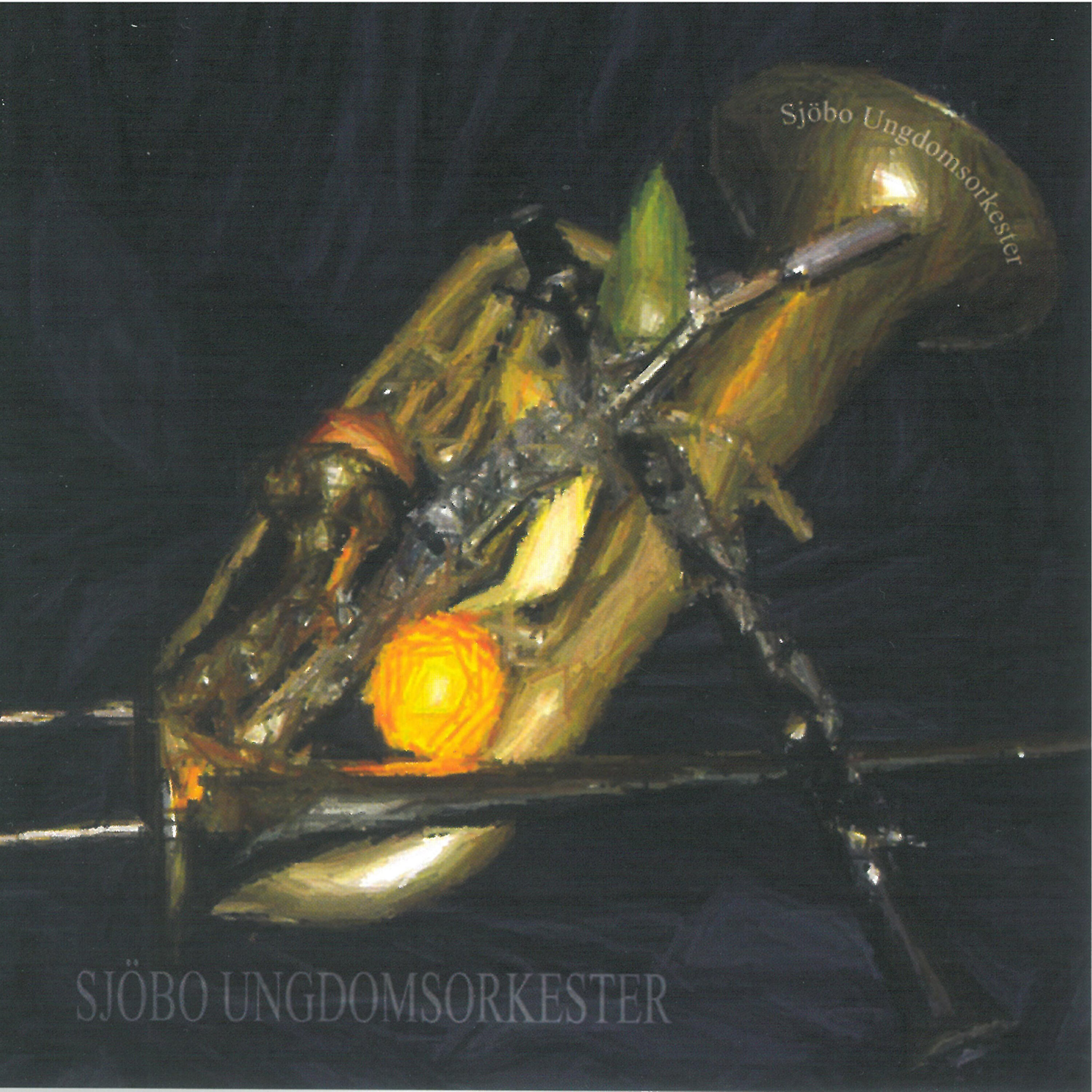 Релиз Sjöbo Ungdomsorkester 2004