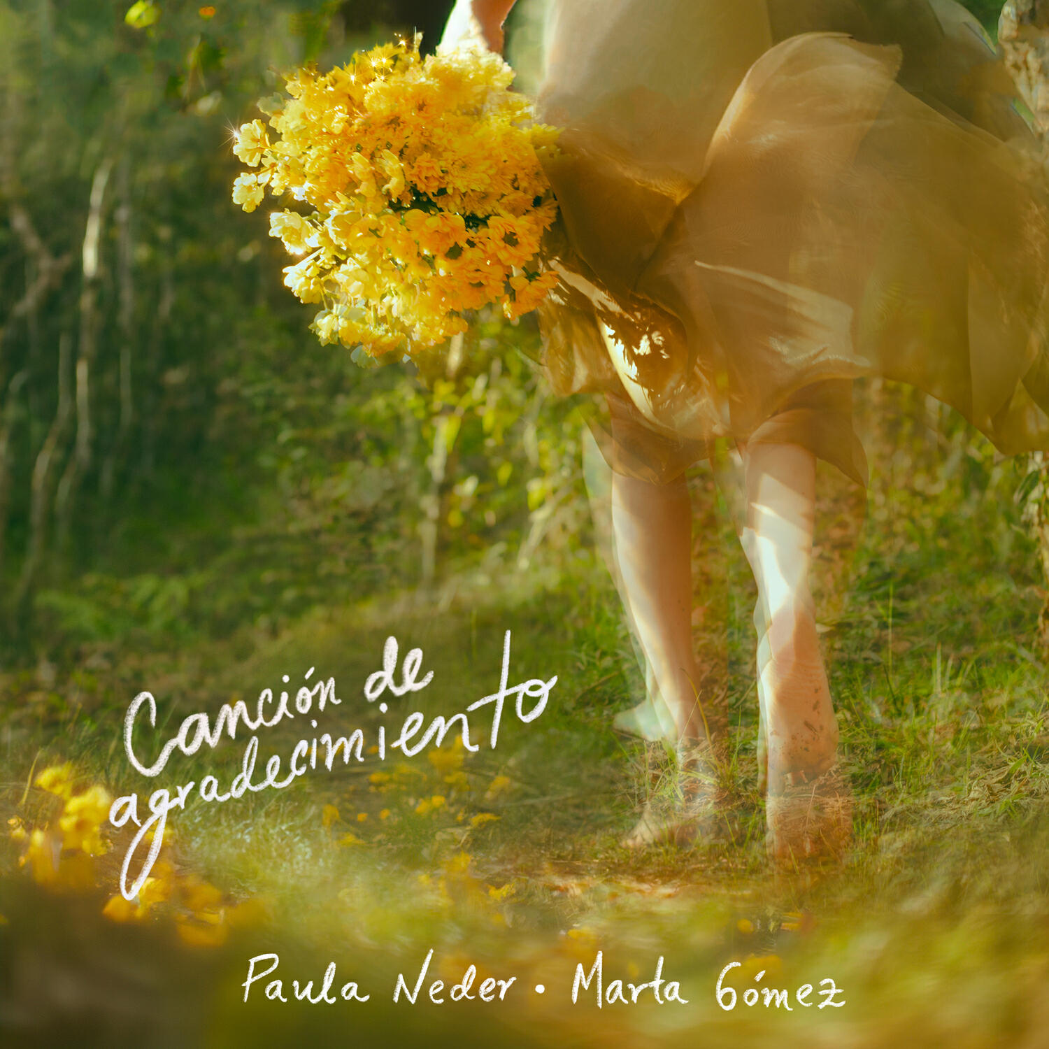 Paula Neder