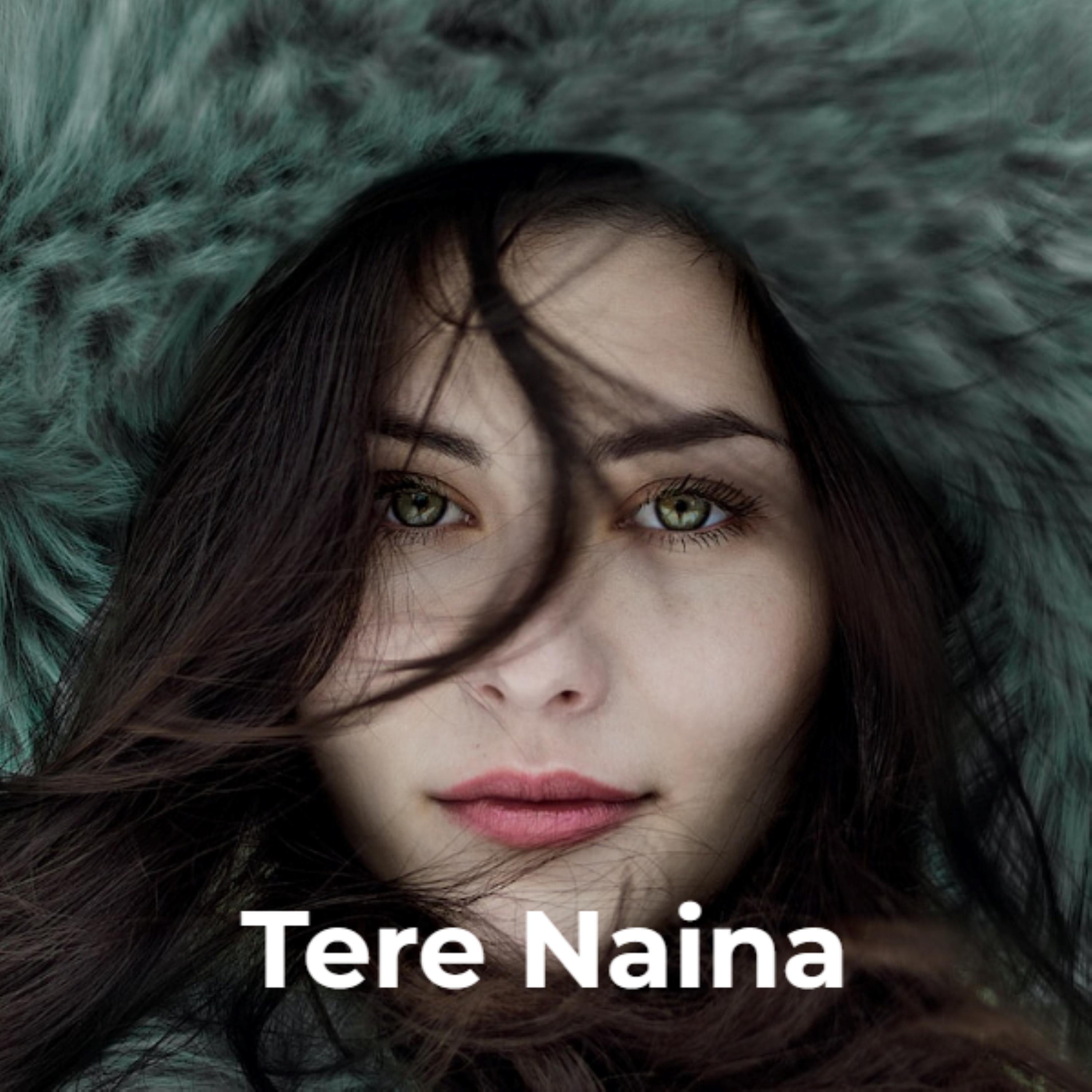 Релиз Tere Naina