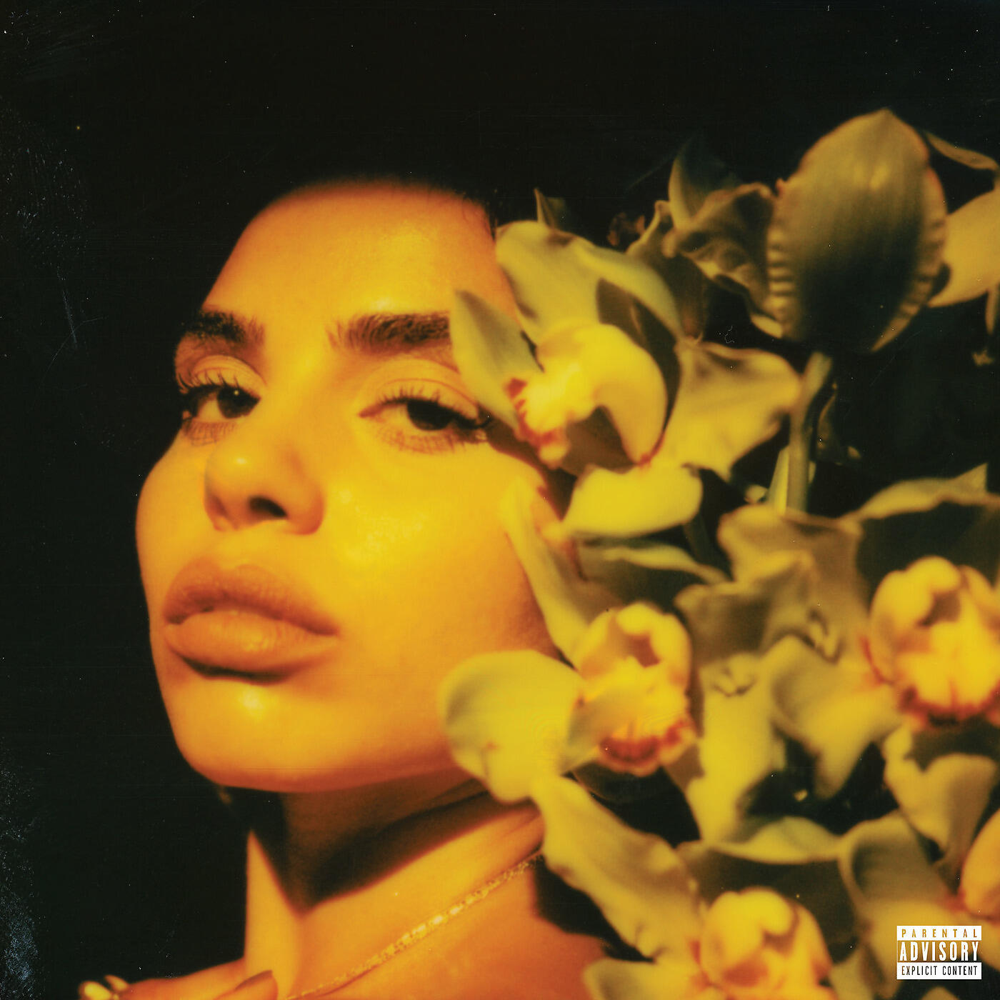 Релиз South
