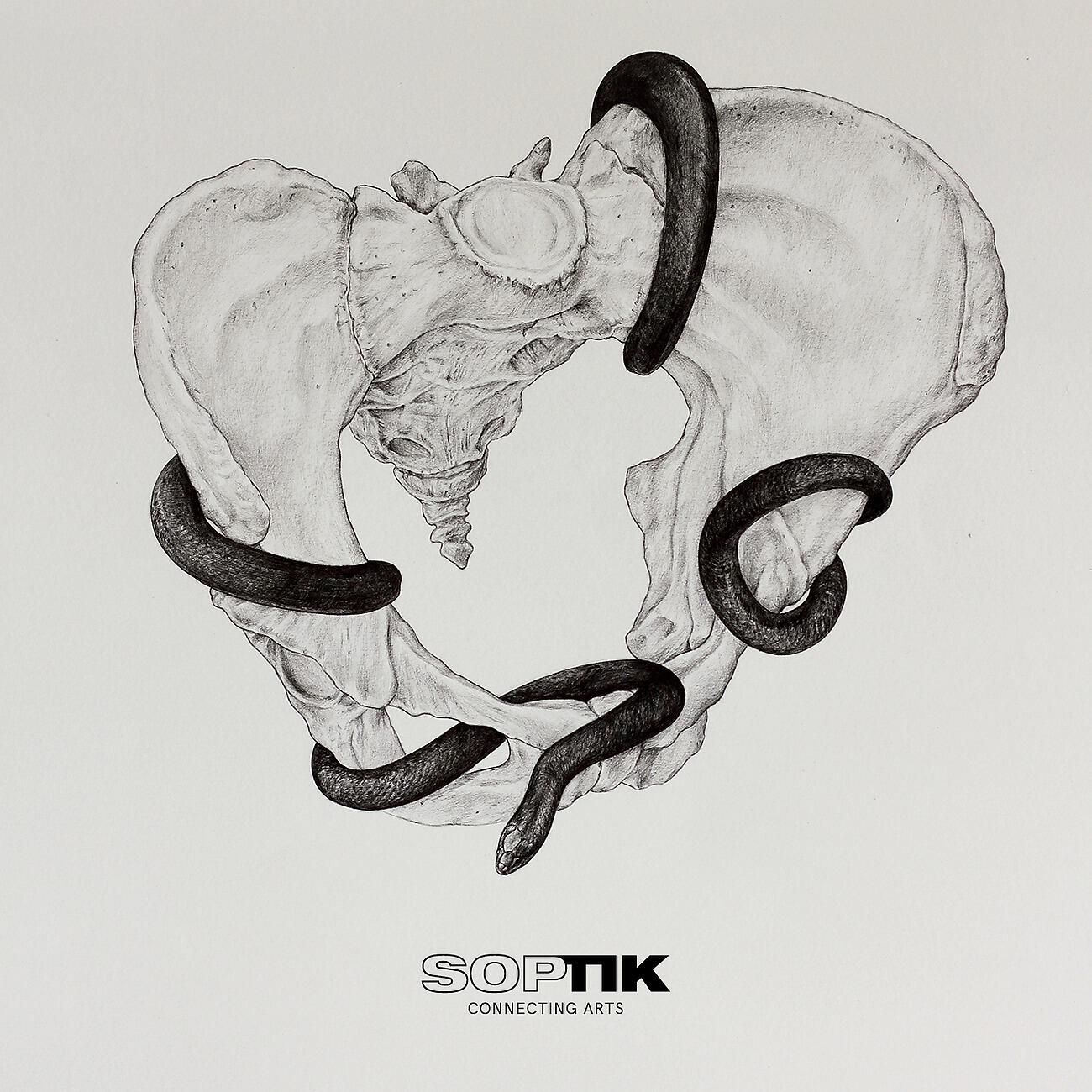 Релиз Snakes And Bones