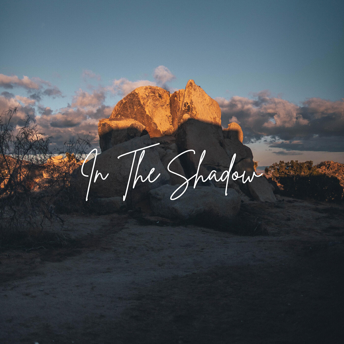 Релиз In the Shadow