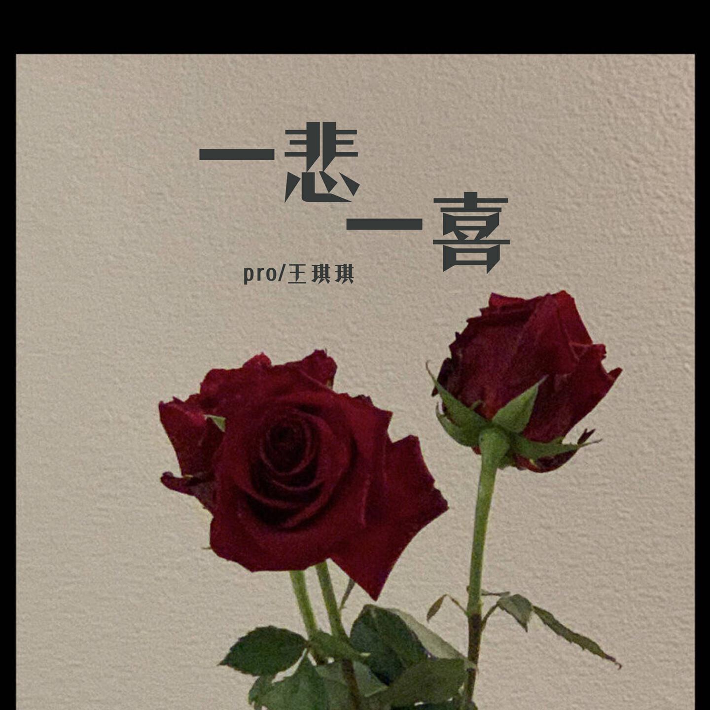Релиз 一悲一喜