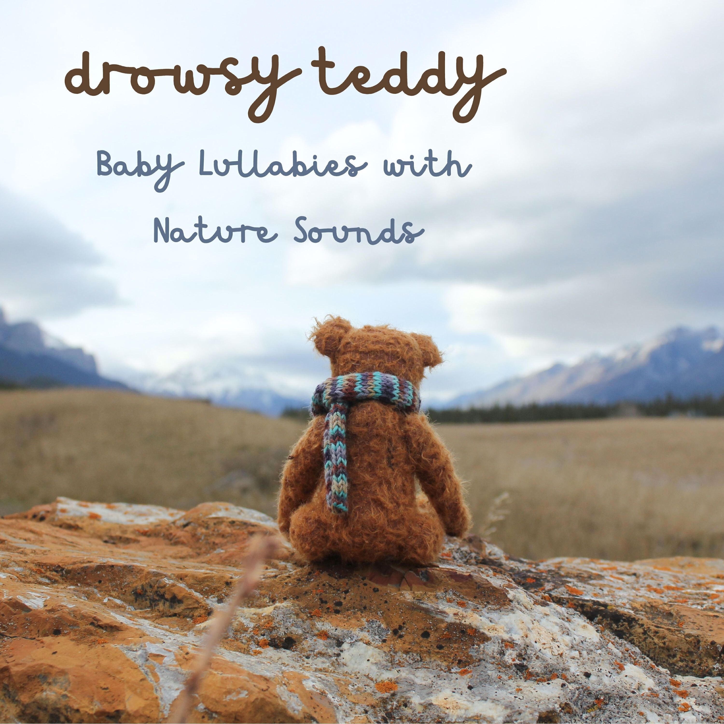 Релиз Baby Lullabies with Nature Sounds